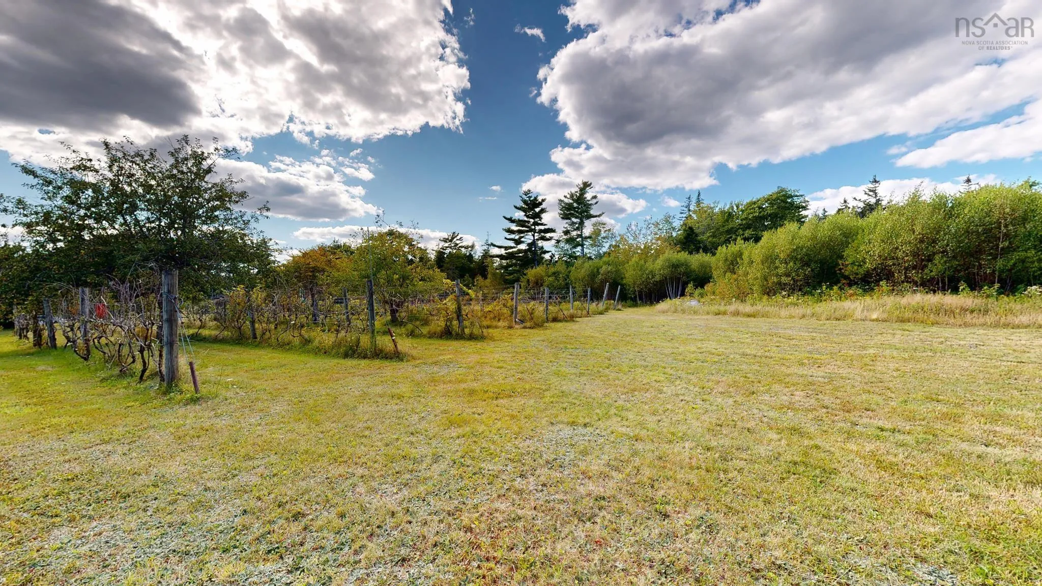 1214 Old Port Mouton Road, White Point, NS B0T 1G0, 2 Bedrooms Bedrooms, ,2 BathroomsBathrooms,Residential,For Sale,Old Port Mouton,202522604