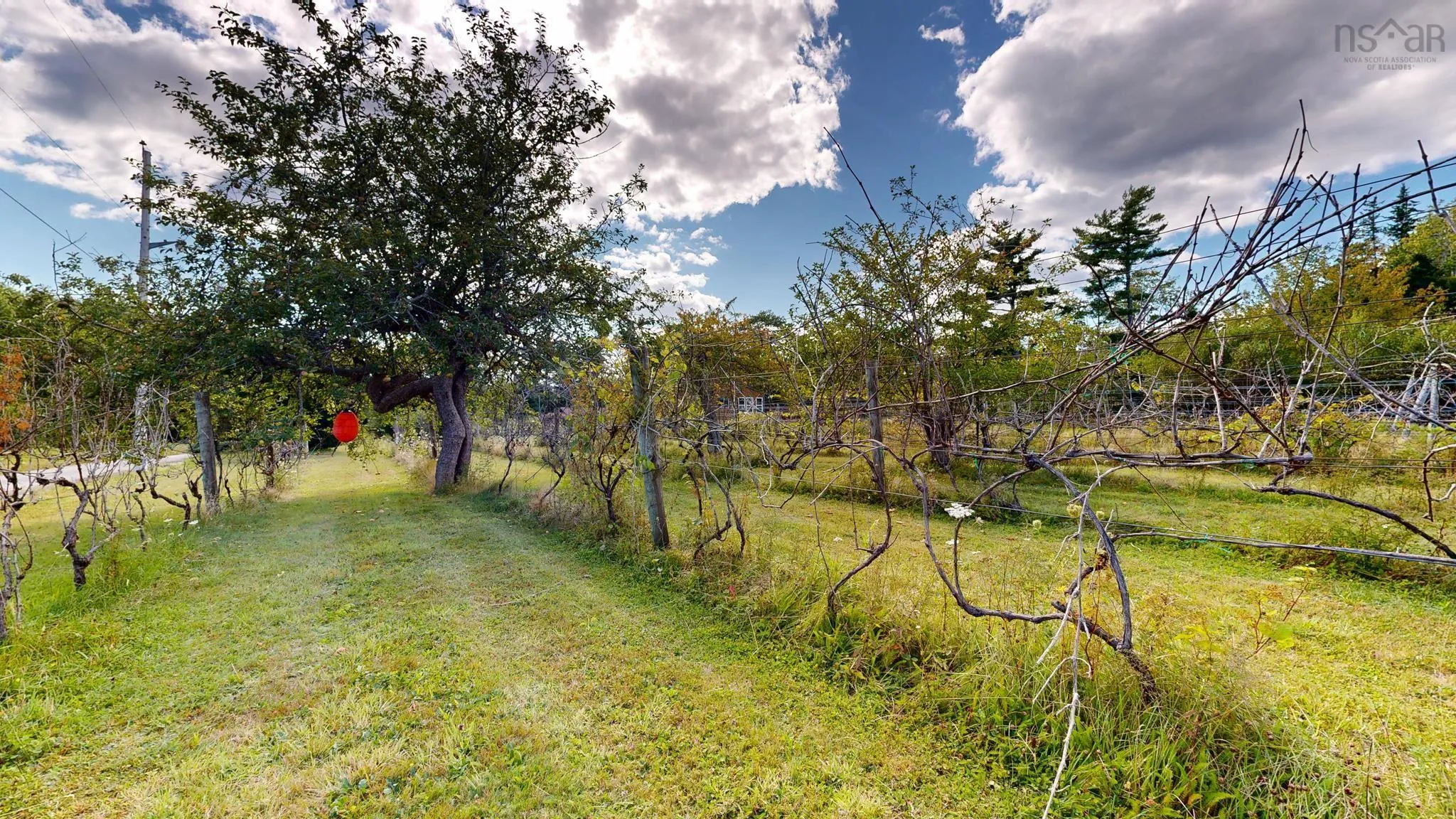 1214 Old Port Mouton Road, White Point, NS B0T 1G0, 2 Bedrooms Bedrooms, ,2 BathroomsBathrooms,Residential,For Sale,Old Port Mouton,202522604