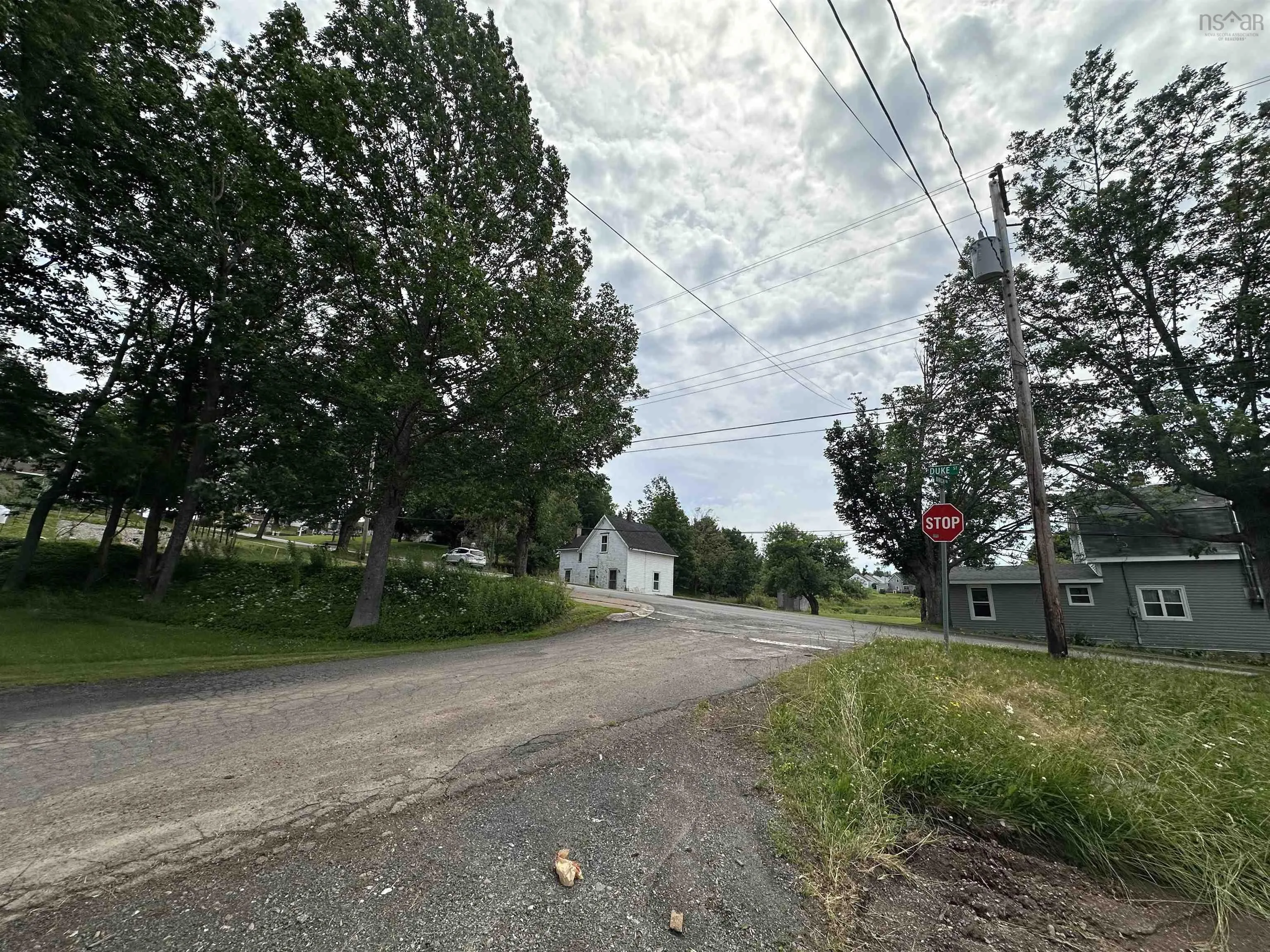 73 Duke Street, Trenton, NS B0K 1X0, ,Land,For Sale,Duke,202516700
