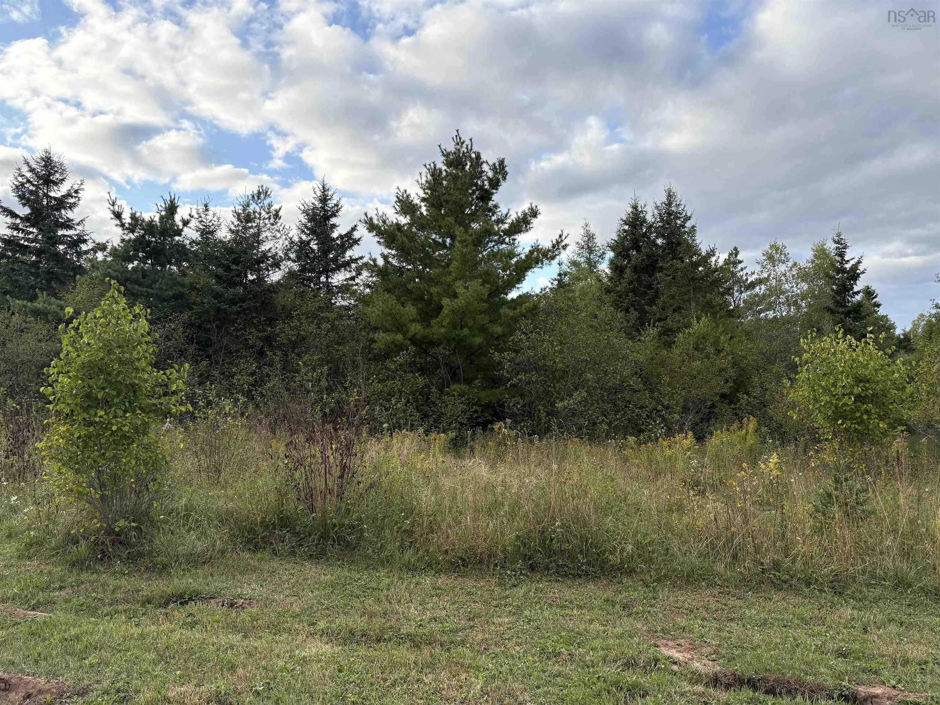 Locks Road, Enfield, NS B2T 1C8, ,Land,For Sale,Locks,202523128