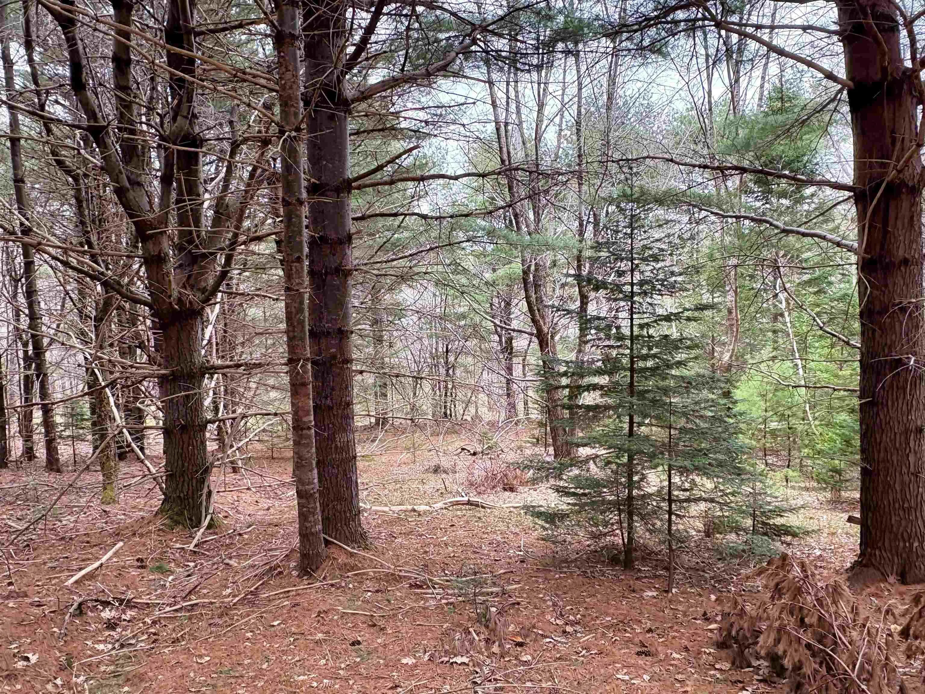 Sleepy Hollow Road, Oakland Ns B0j 2e0, ,Land,For Sale,Sleepy Hollow,202510194