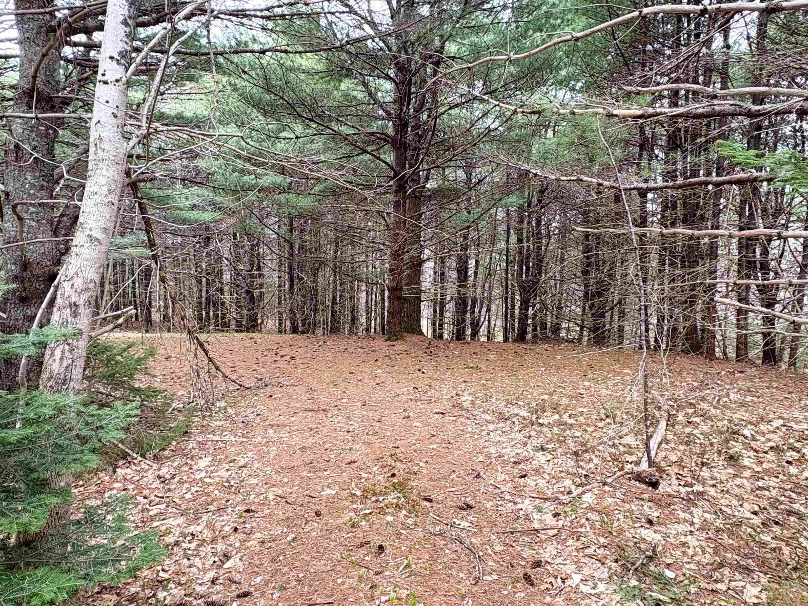 Sleepy Hollow Road, Oakland Ns B0j 2e0, ,Land,For Sale,Sleepy Hollow,202510194