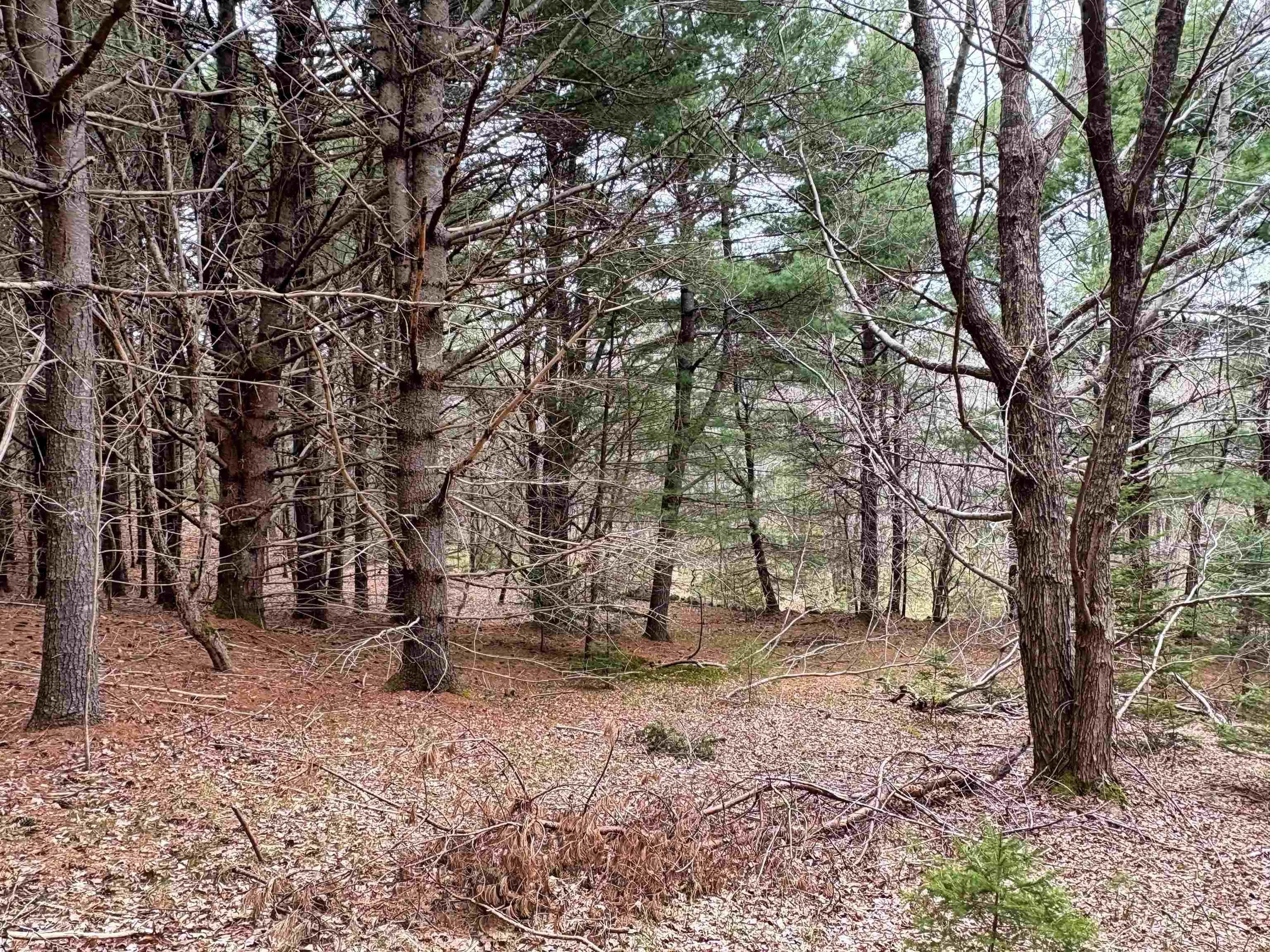 Sleepy Hollow Road, Oakland Ns B0j 2e0, ,Land,For Sale,Sleepy Hollow,202510194