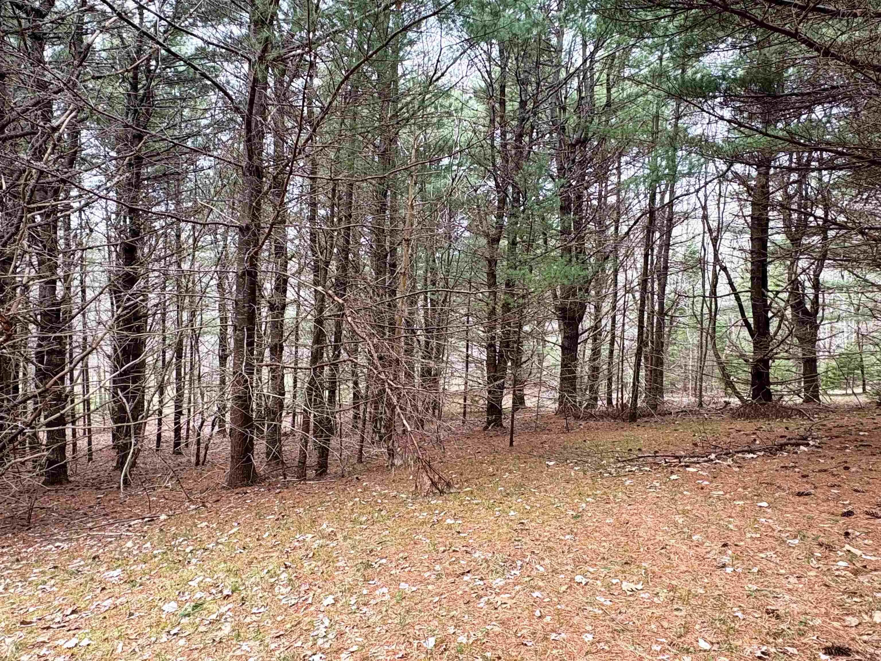 Sleepy Hollow Road, Oakland Ns B0j 2e0, ,Land,For Sale,Sleepy Hollow,202510194