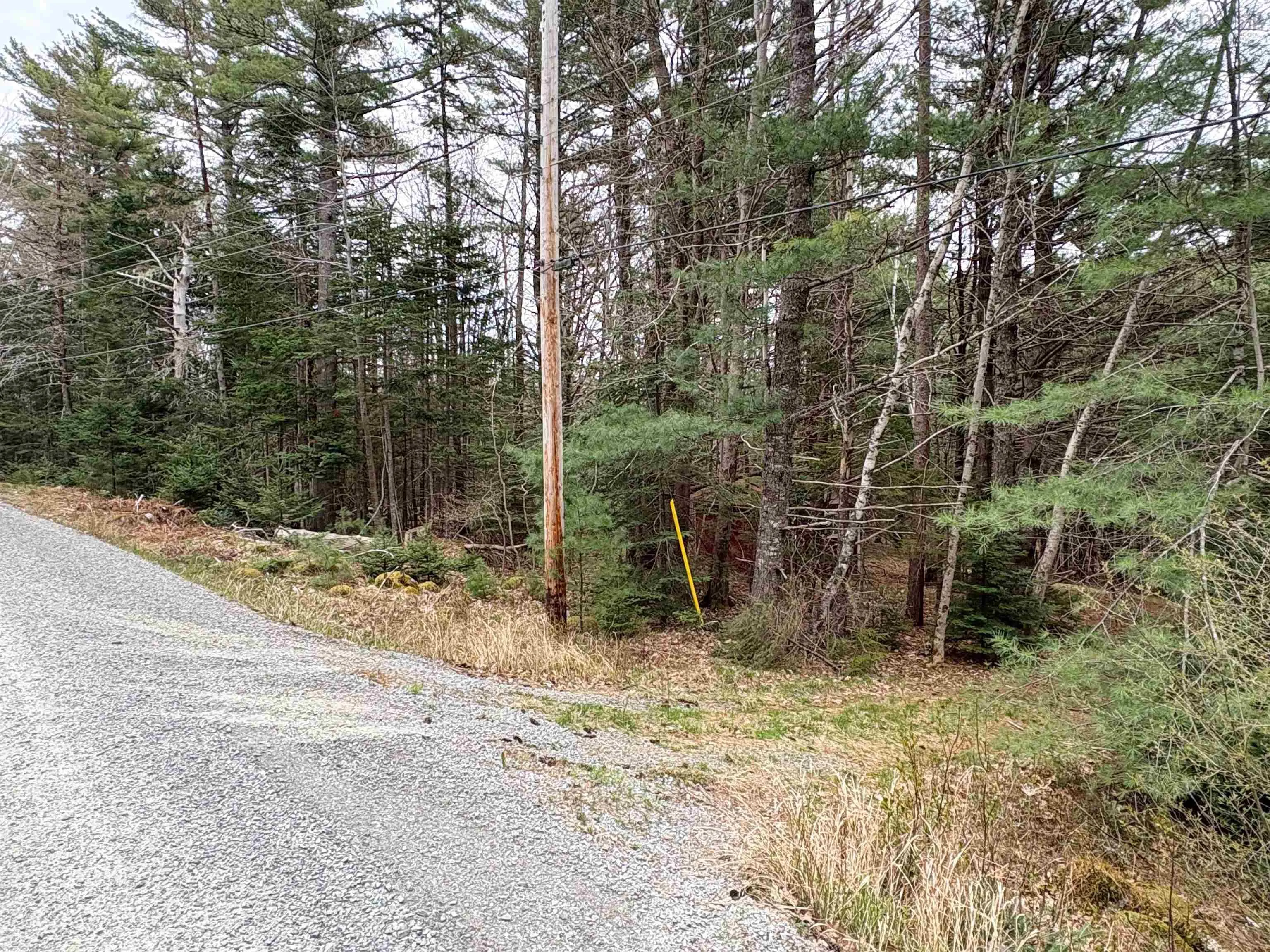 Sleepy Hollow Road, Oakland Ns B0j 2e0, ,Land,For Sale,Sleepy Hollow,202510194