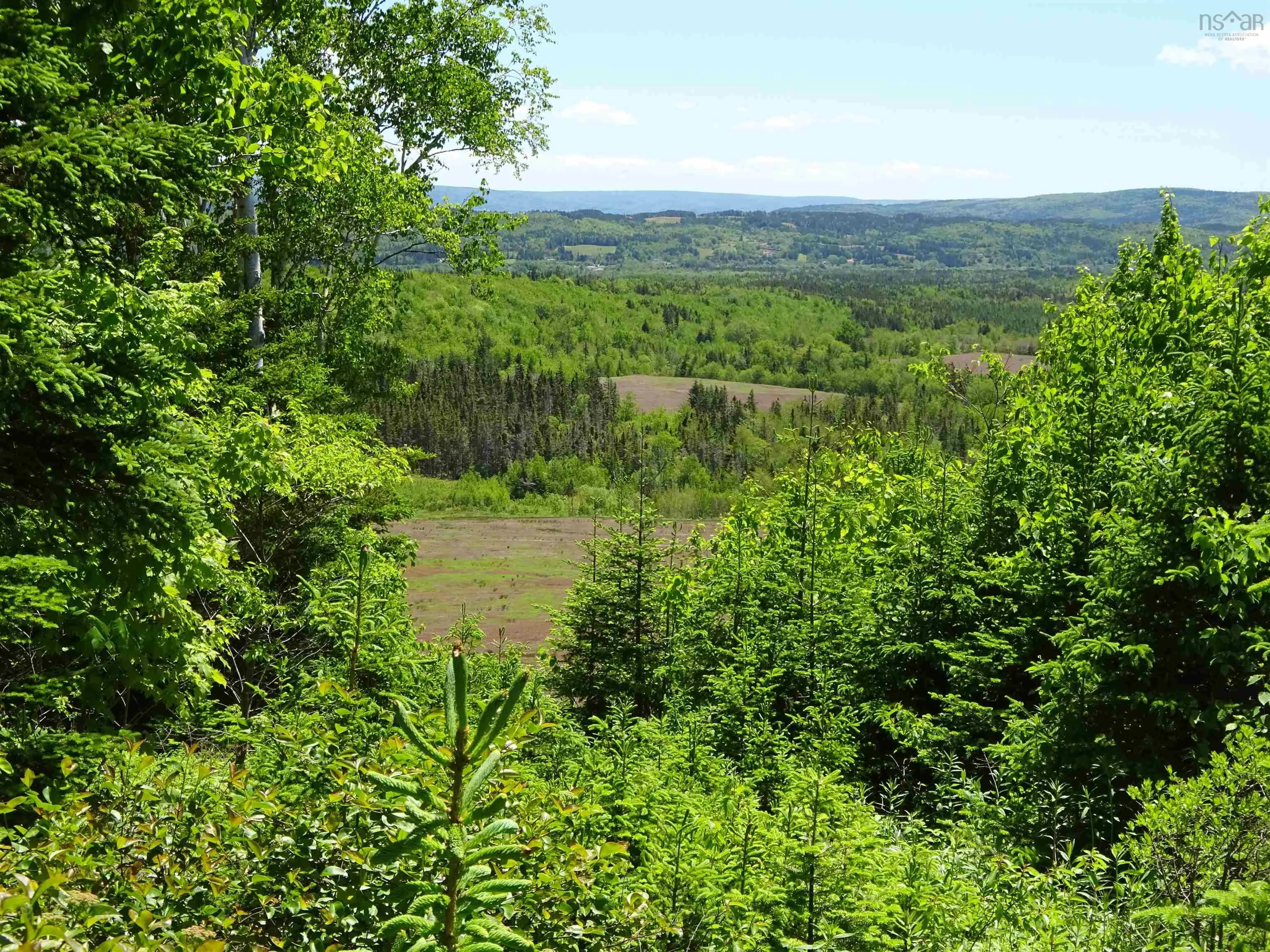760 Foot Cape Road, Inverness, NS B0E 1N0, 2 Bedrooms Bedrooms, ,2 BathroomsBathrooms,Residential,For Sale,Foot Cape,202522181