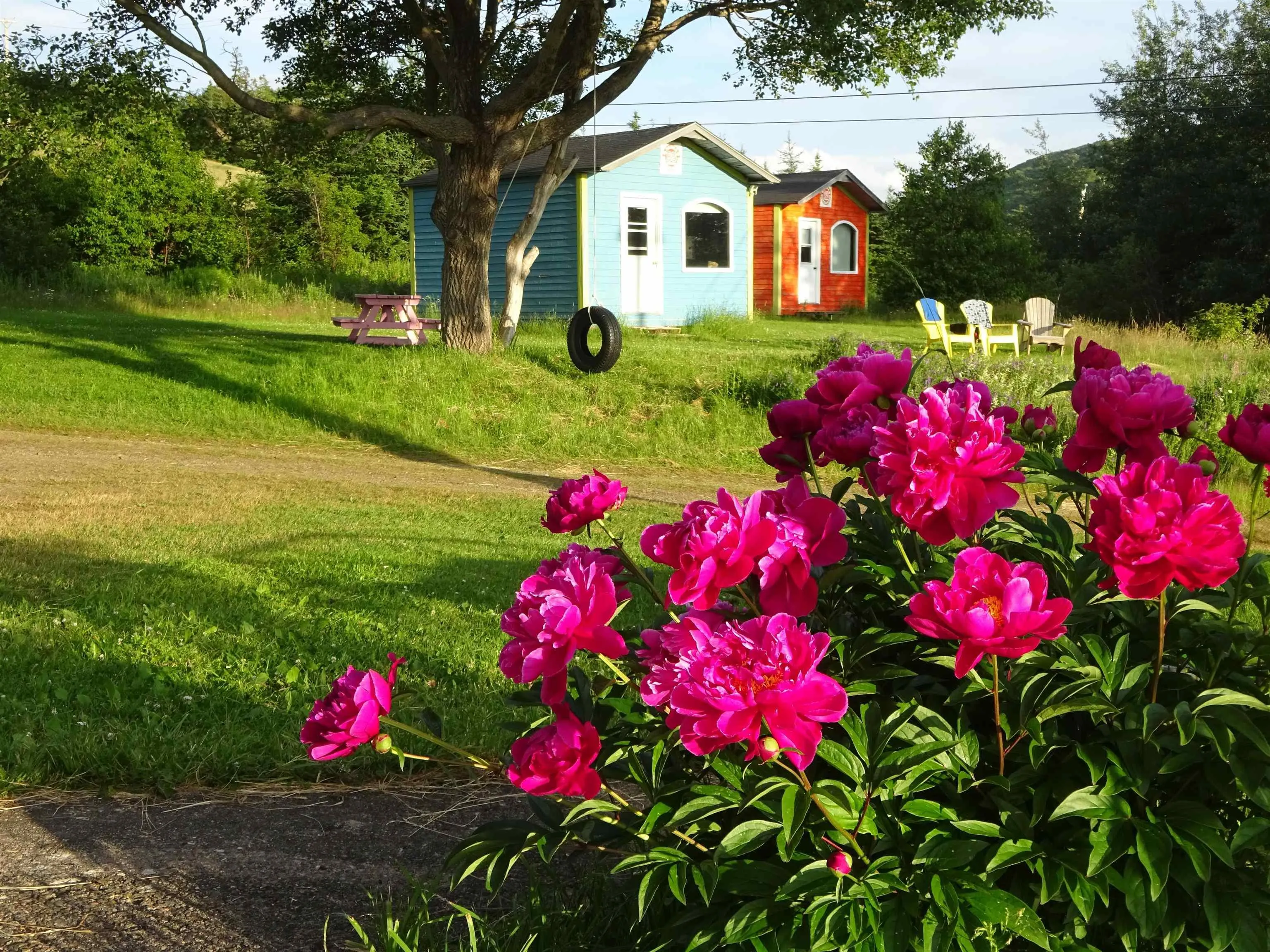 760 Foot Cape Road, Inverness, NS B0E 1N0, 2 Bedrooms Bedrooms, ,2 BathroomsBathrooms,Residential,For Sale,Foot Cape,202522181