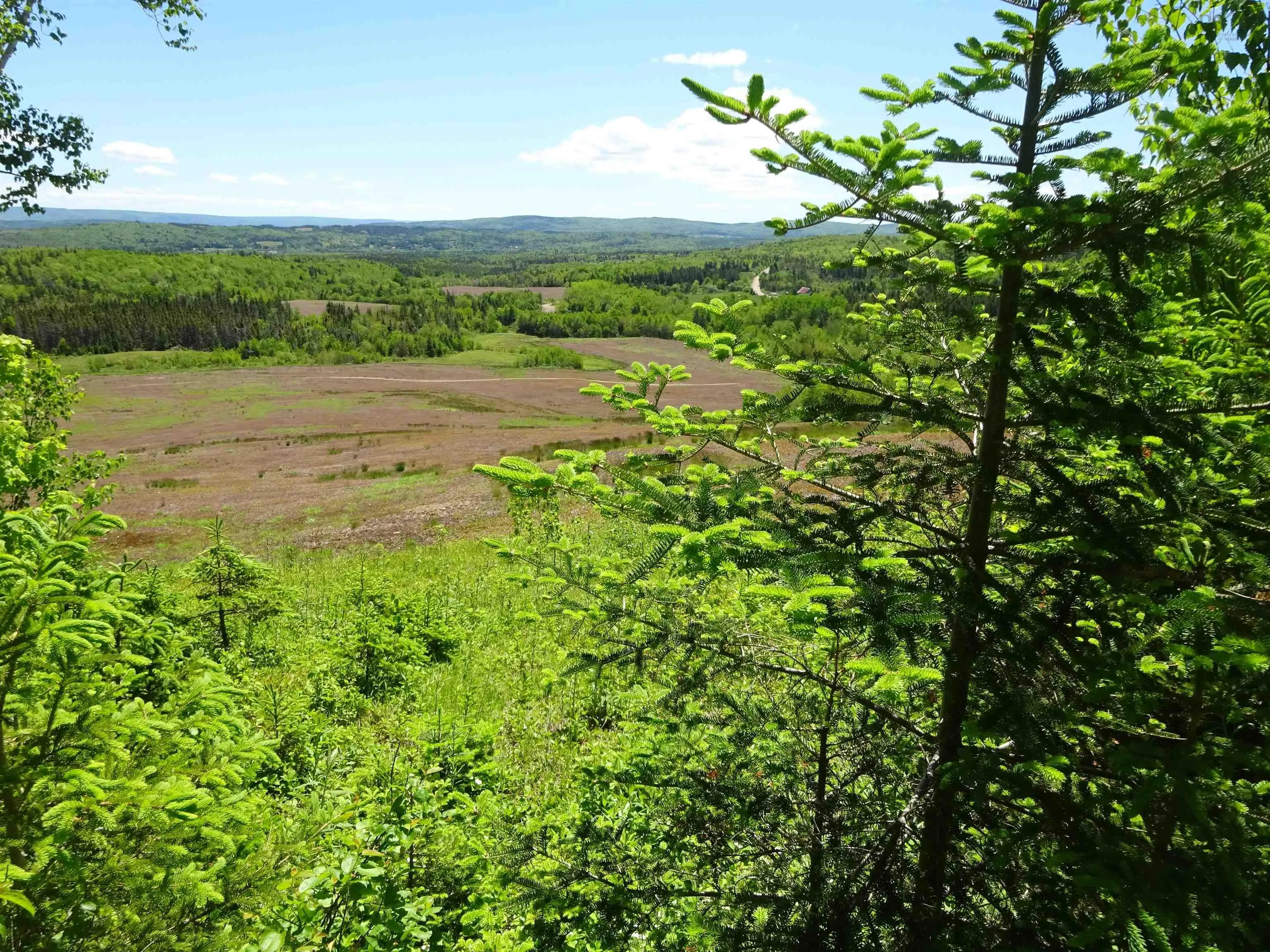 760 Foot Cape Road, Inverness, NS B0E 1N0, 2 Bedrooms Bedrooms, ,2 BathroomsBathrooms,Residential,For Sale,Foot Cape,202522181