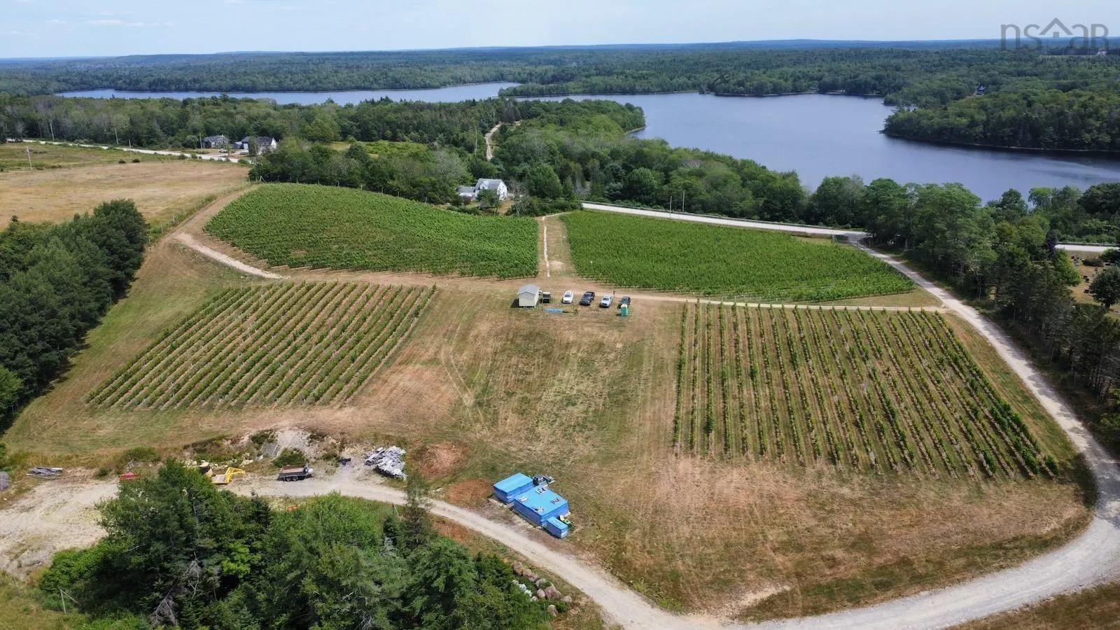 4113 340 Highway, Carleton, NS B5A 5N9, ,Farm,For Sale,340,202511648