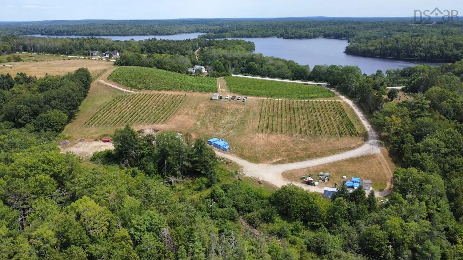 4113 340 Highway, Carleton, NS B5A 5N9, ,Farm,For Sale,340,202511648