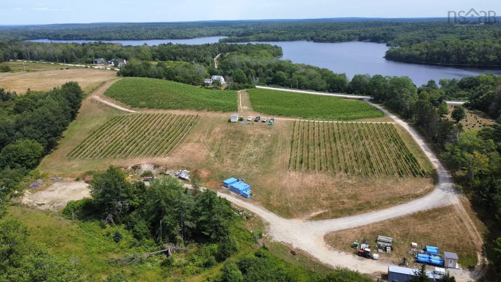 4113 340 Highway, Carleton, NS B5A 5N9, ,Farm,For Sale,340,202511648