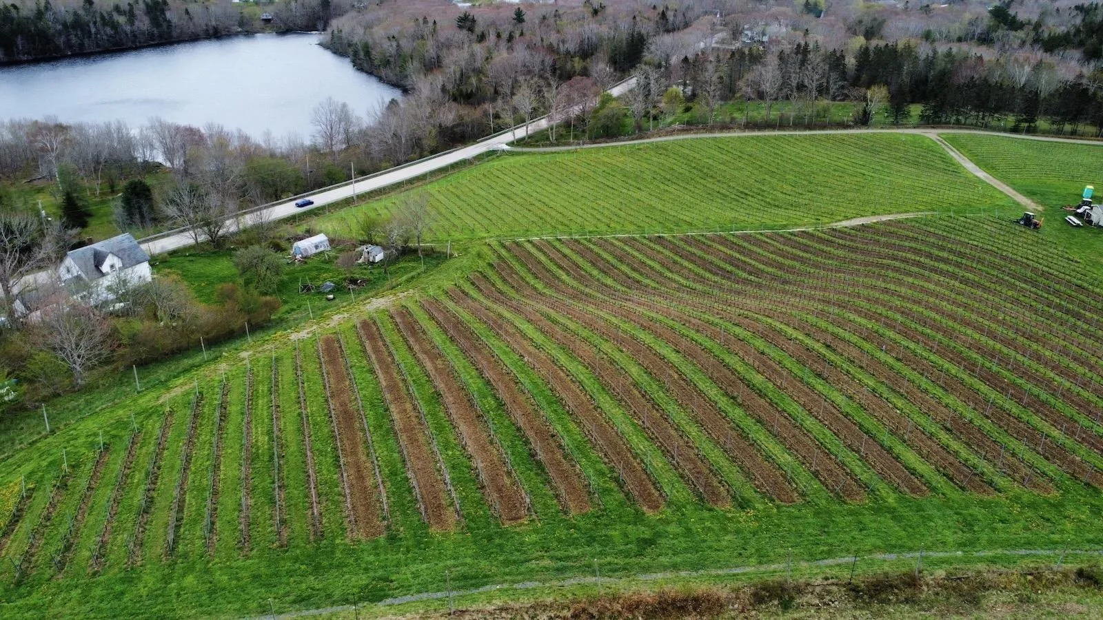 4113 340 Highway, Carleton, NS B5A 5N9, 2 Bedrooms Bedrooms, ,1 BathroomBathrooms,Farm,For Sale,340,202511648