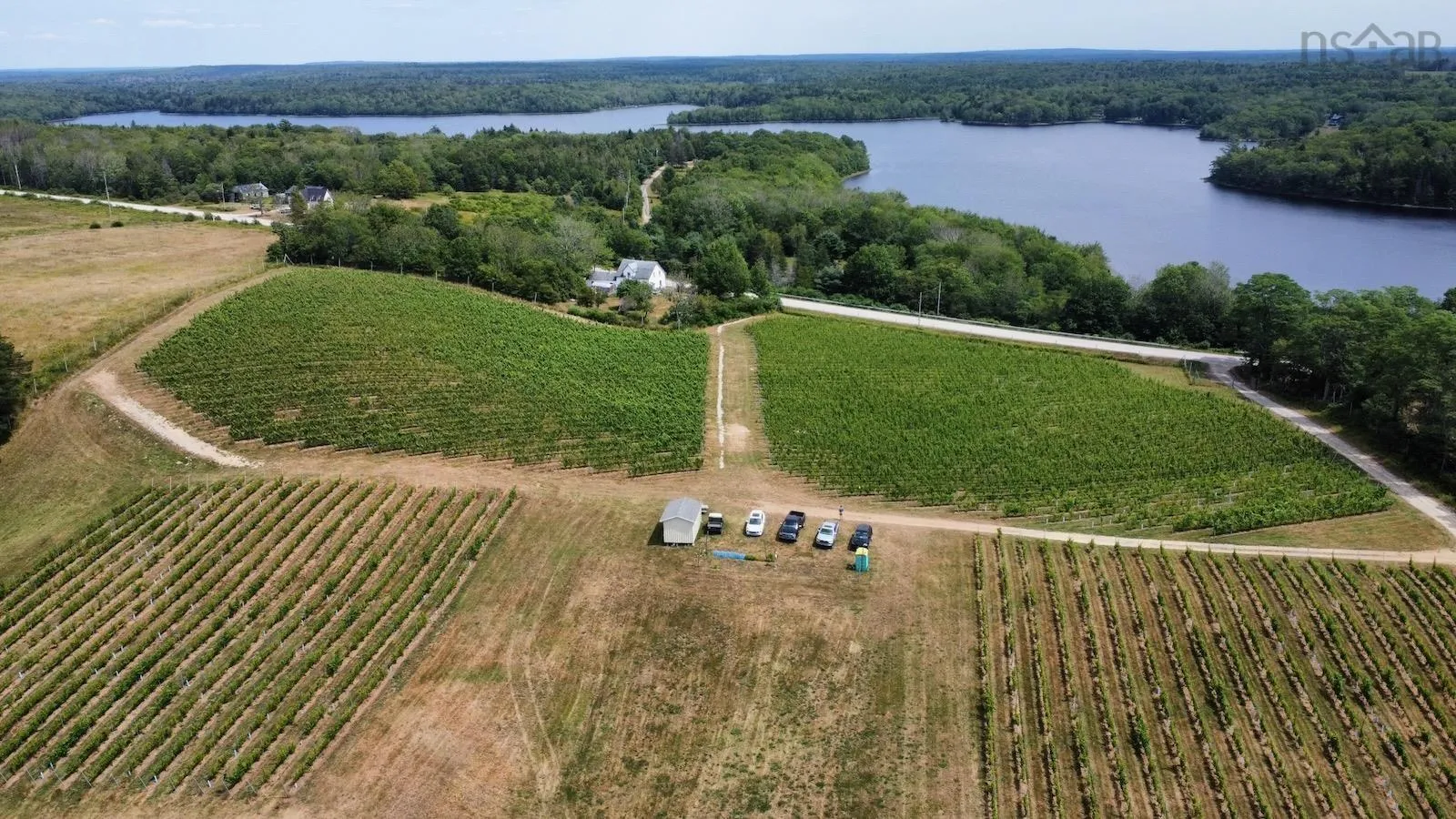 4113 340 Highway, Carleton, NS B5A 5N9, ,Farm,For Sale,340,202511648
