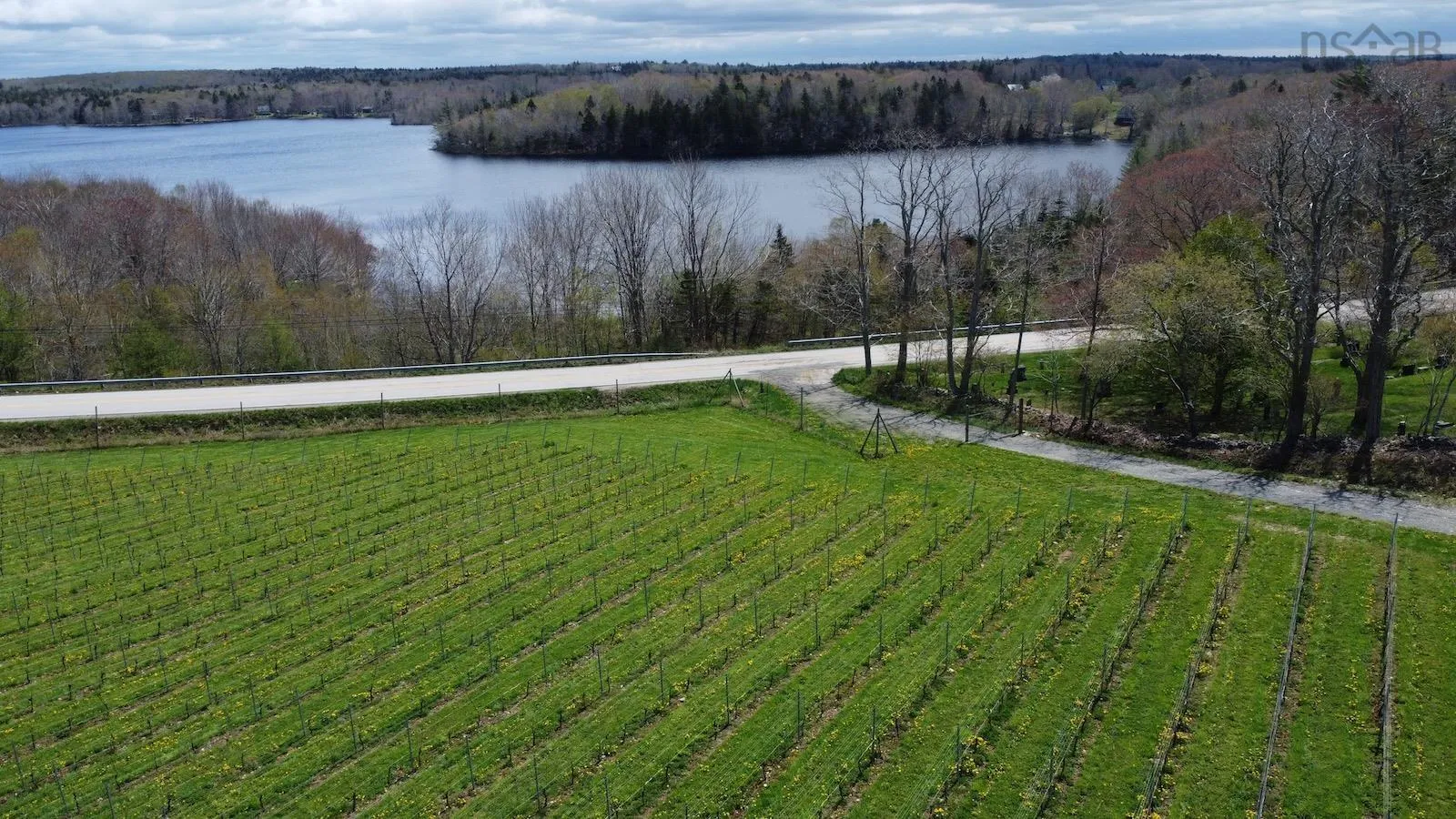 4113 340 Highway, Carleton, NS B5A 5N9, 2 Bedrooms Bedrooms, ,1 BathroomBathrooms,Farm,For Sale,340,202511648