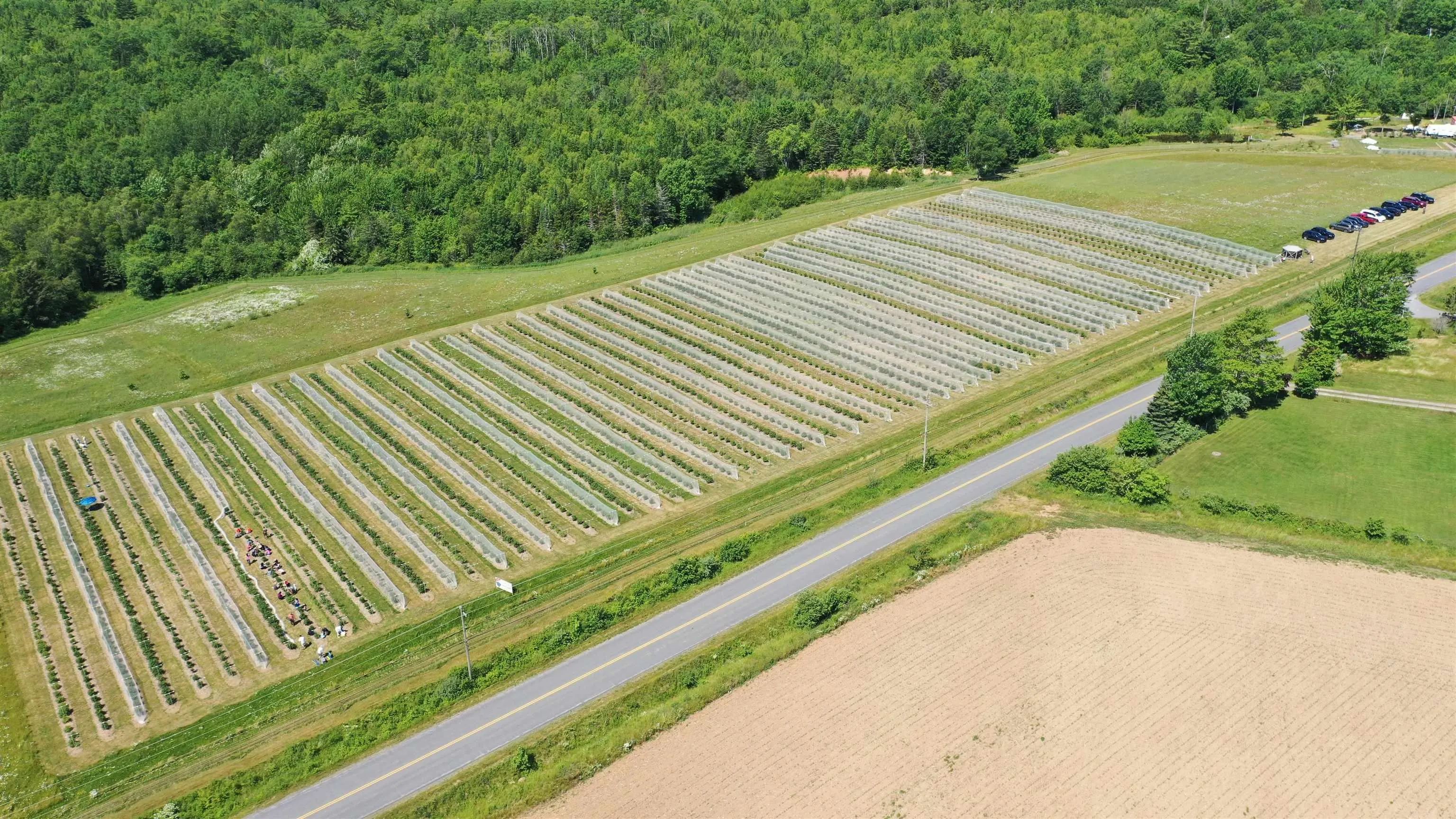 28 Mines Road, Upper Falmouth, NS B0P 1L0, ,Land,For Sale,Mines Road,202517727