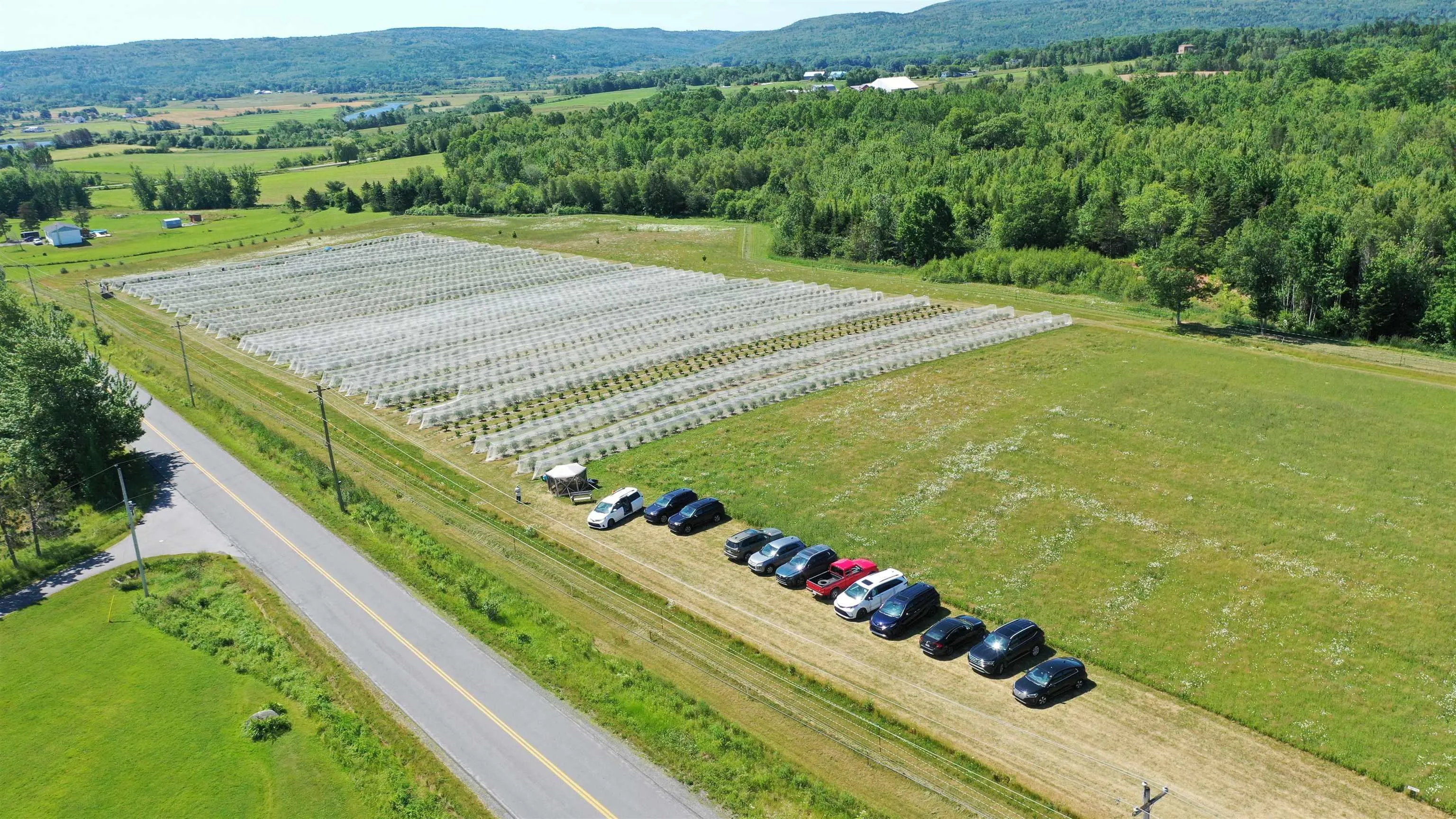 28 Mines Road, Upper Falmouth, NS B0P 1L0, ,Land,For Sale,Mines Road,202517727