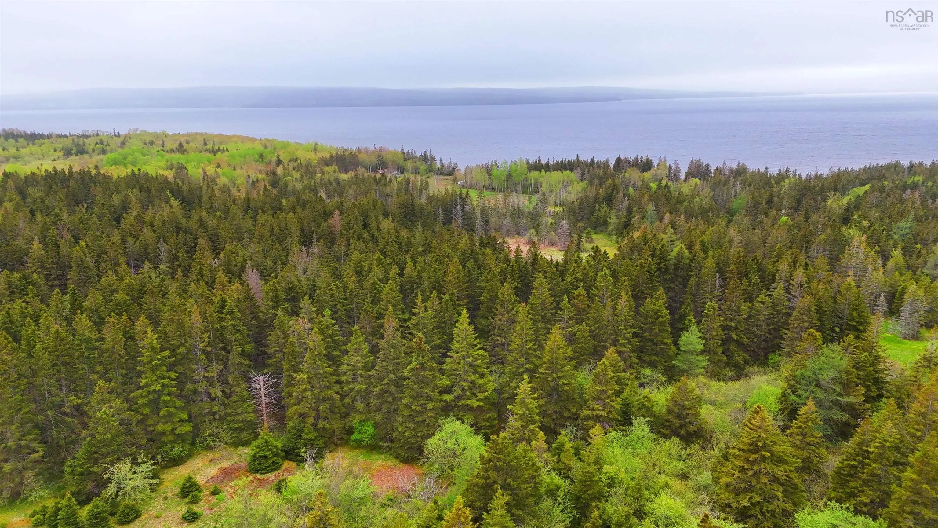 103 Acres On East Lake Ainslie Rd, East Lake Ainslie, NS B0E 3M0, ,Land,For Sale,Acres On East Lake Ainslie Rd,202513007