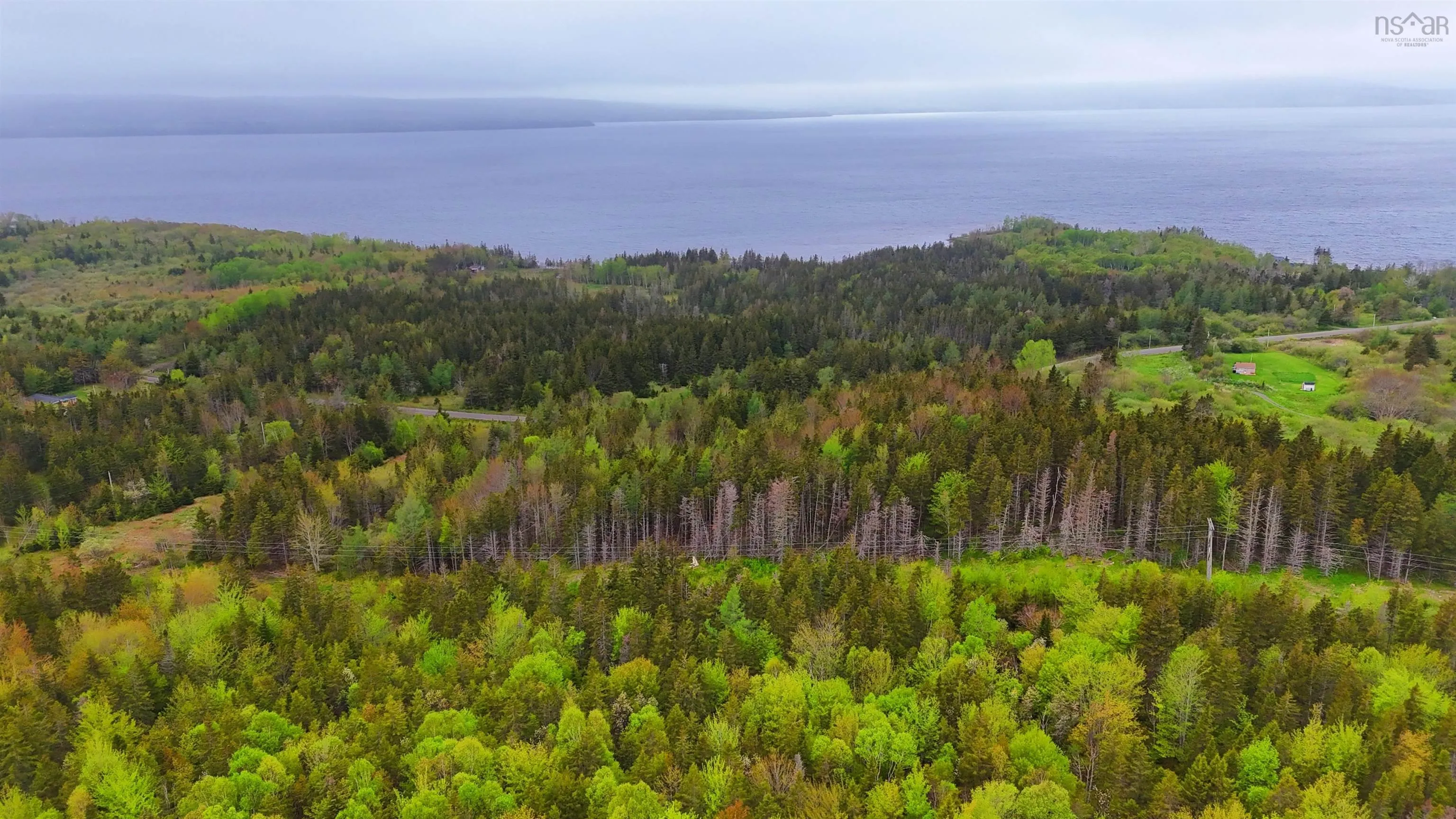 103 Acres On East Lake Ainslie Rd, East Lake Ainslie, NS B0E 3M0, ,Land,For Sale,Acres On East Lake Ainslie Rd,202513007
