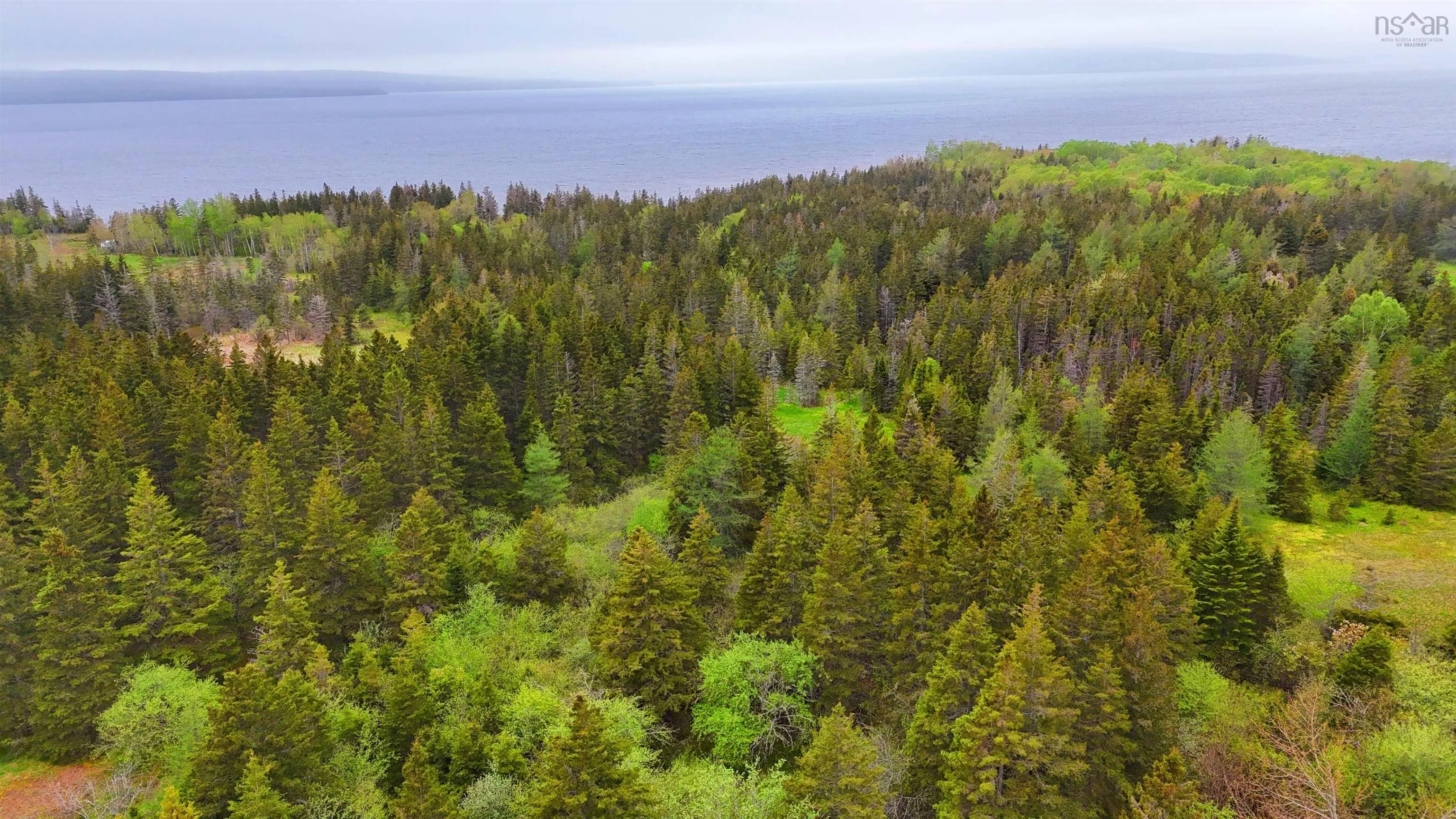 103 Acres On East Lake Ainslie Rd, East Lake Ainslie, NS B0E 3M0, ,Land,For Sale,Acres On East Lake Ainslie Rd,202513007