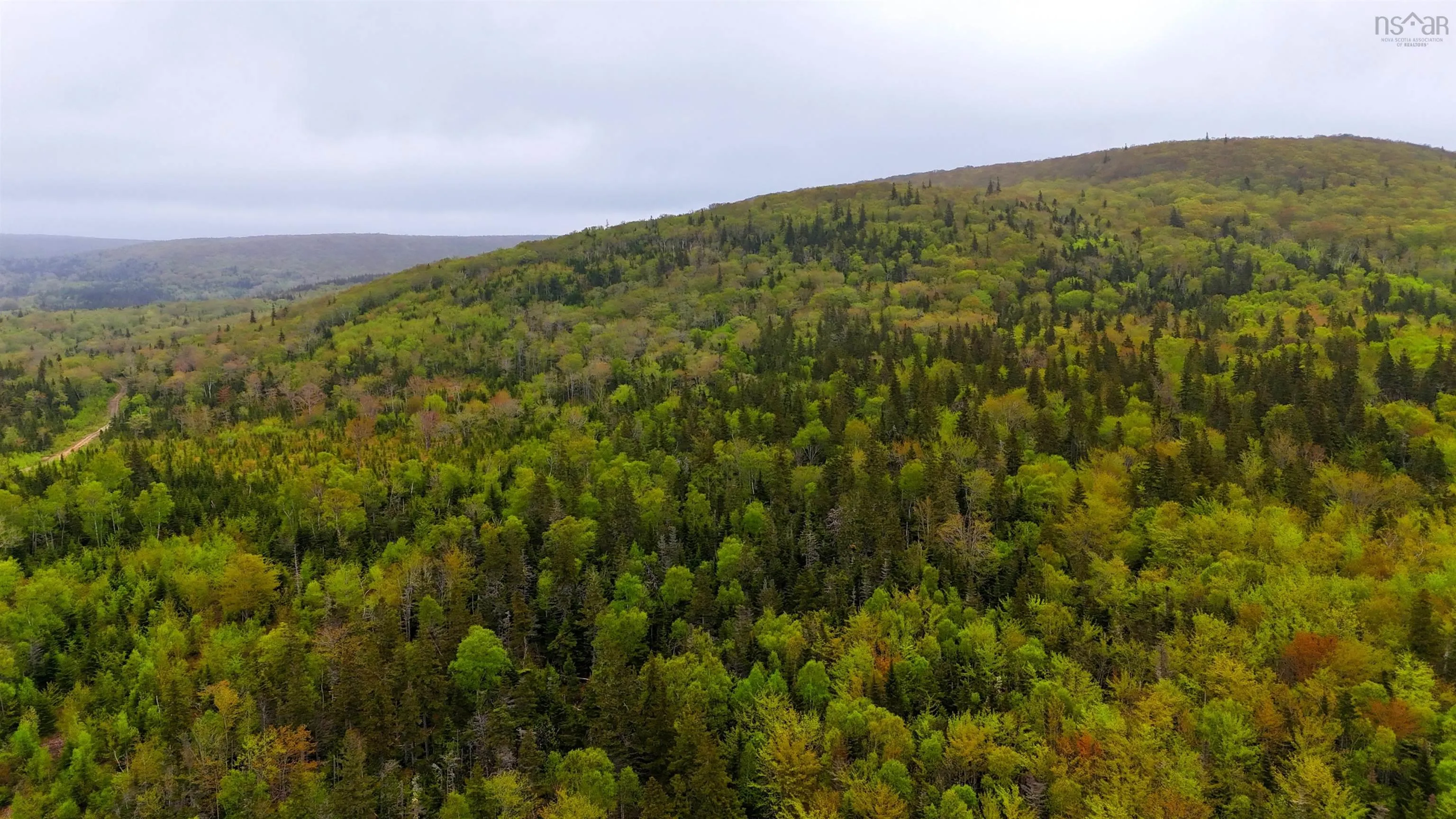 103 Acres On East Lake Ainslie Rd, East Lake Ainslie, NS B0E 3M0, ,Land,For Sale,Acres On East Lake Ainslie Rd,202513007
