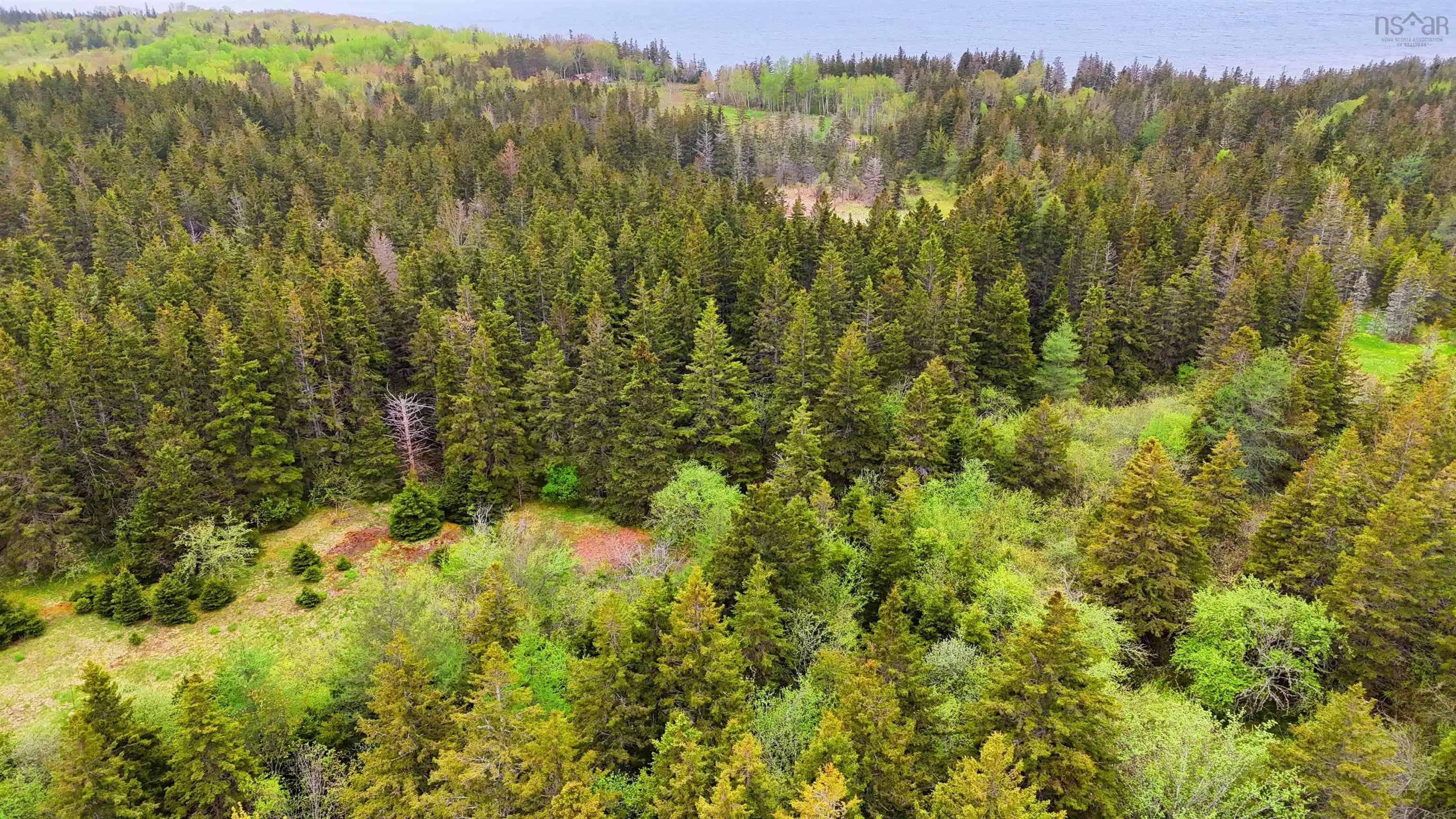 103 Acres On East Lake Ainslie Rd, East Lake Ainslie, NS B0E 3M0, ,Land,For Sale,Acres On East Lake Ainslie Rd,202513007