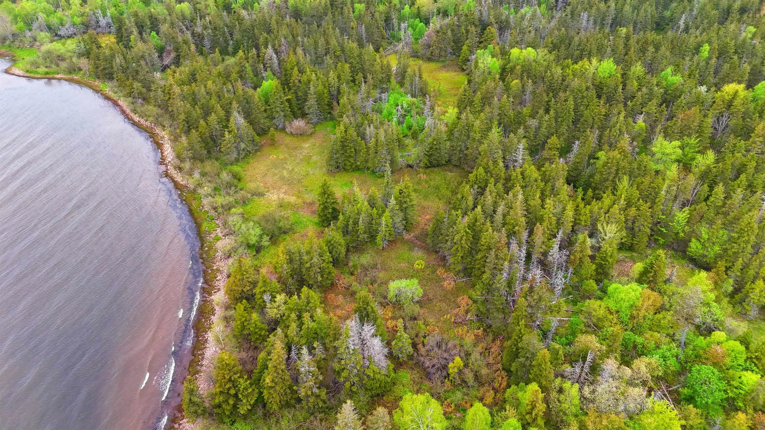 103 Acres On East Lake Ainslie Rd, East Lake Ainslie, NS B0E 3M0, ,Land,For Sale,Acres On East Lake Ainslie Rd,202513007