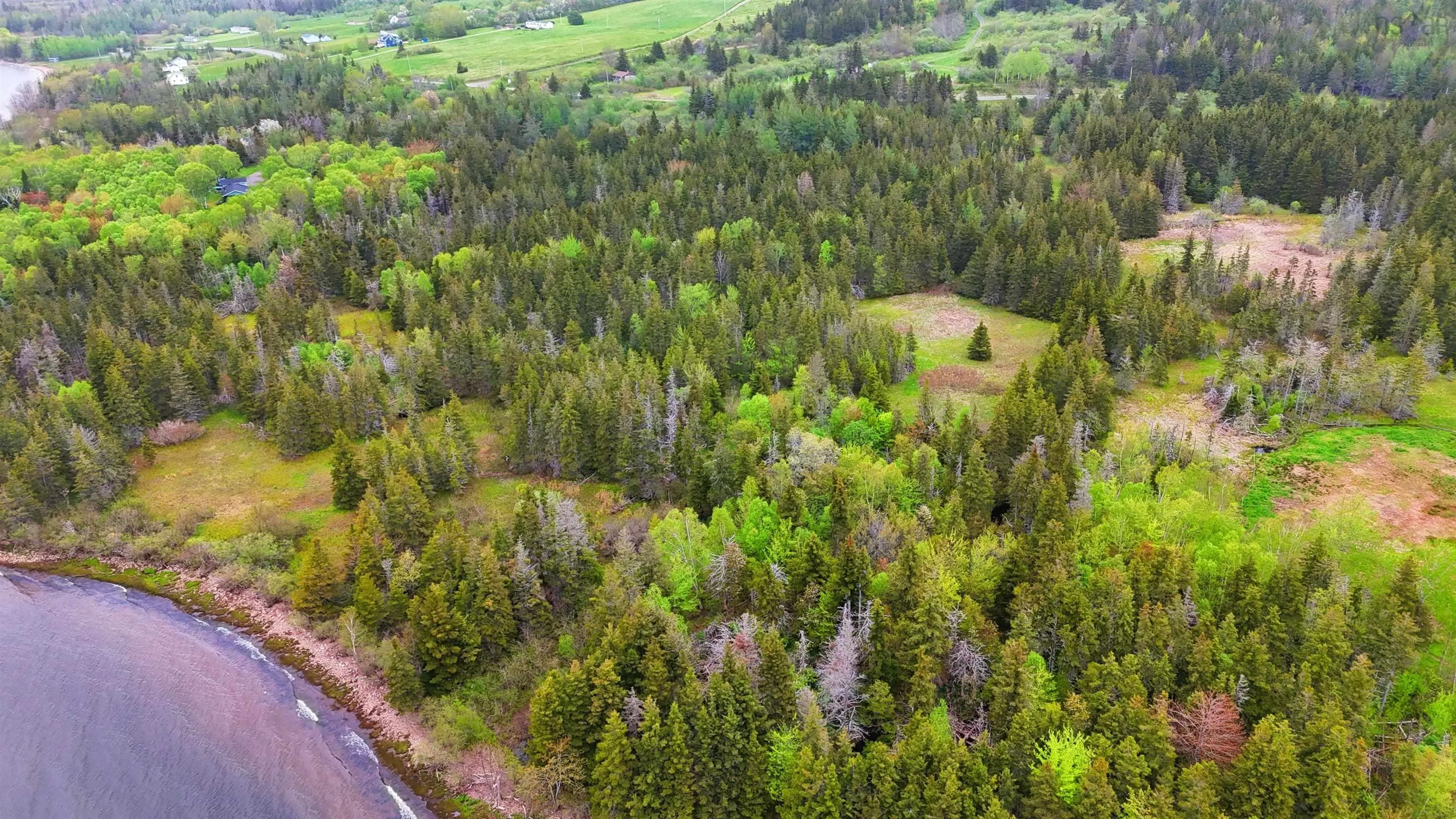 103 Acres On East Lake Ainslie Rd, East Lake Ainslie, NS B0E 3M0, ,Land,For Sale,Acres On East Lake Ainslie Rd,202513007