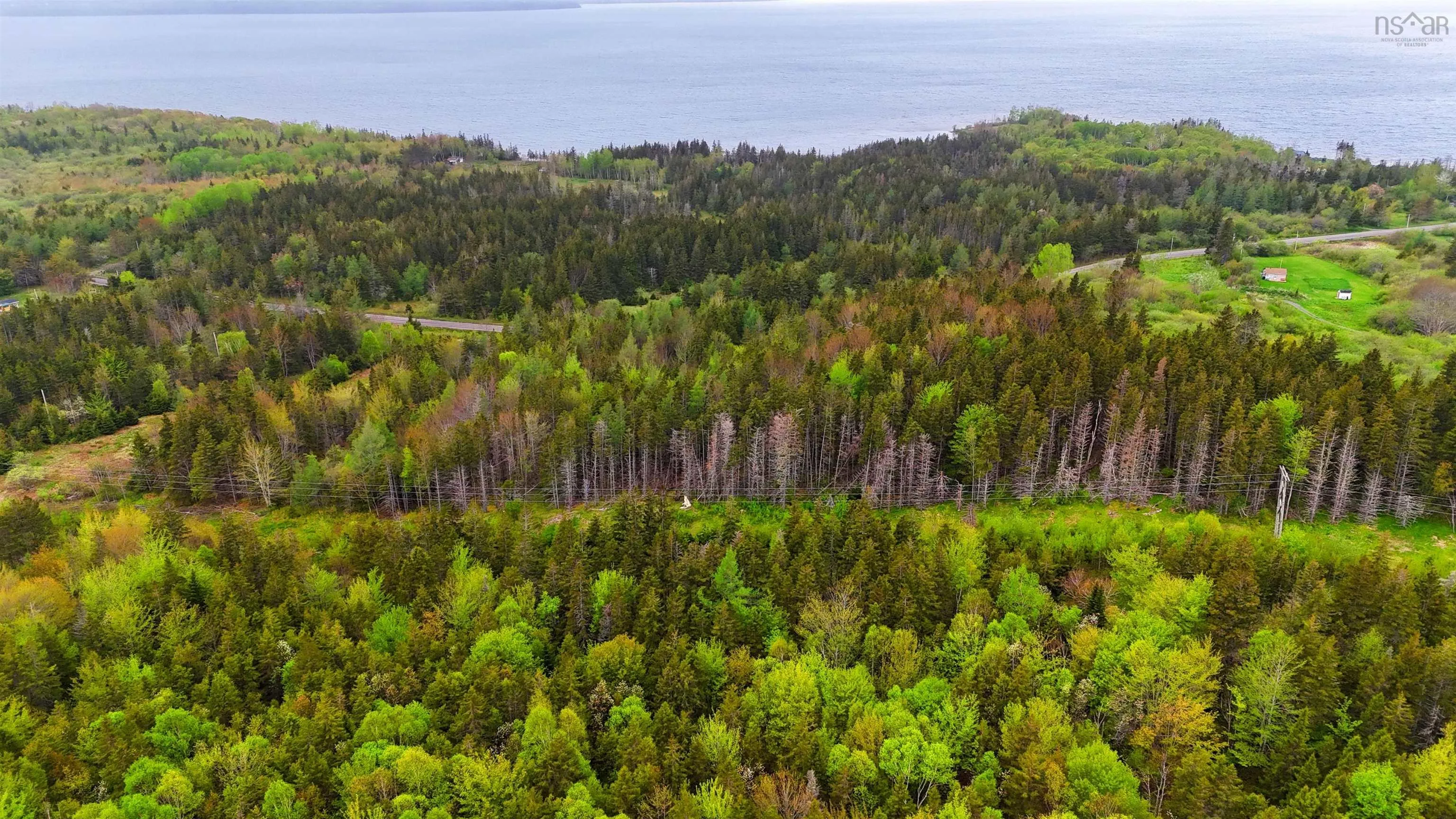 103 Acres On East Lake Ainslie Rd, East Lake Ainslie, NS B0E 3M0, ,Land,For Sale,Acres On East Lake Ainslie Rd,202513007