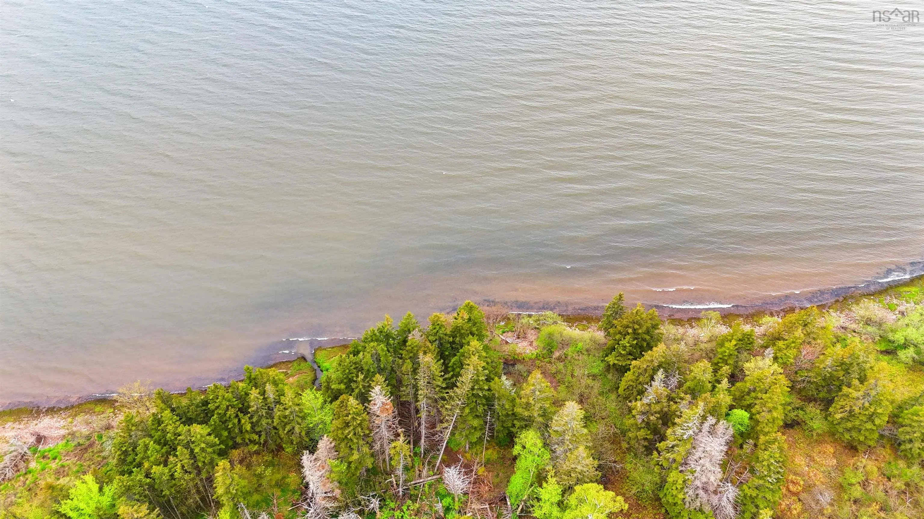 103 Acres On East Lake Ainslie Rd, East Lake Ainslie, NS B0E 3M0, ,Land,For Sale,Acres On East Lake Ainslie Rd,202513007