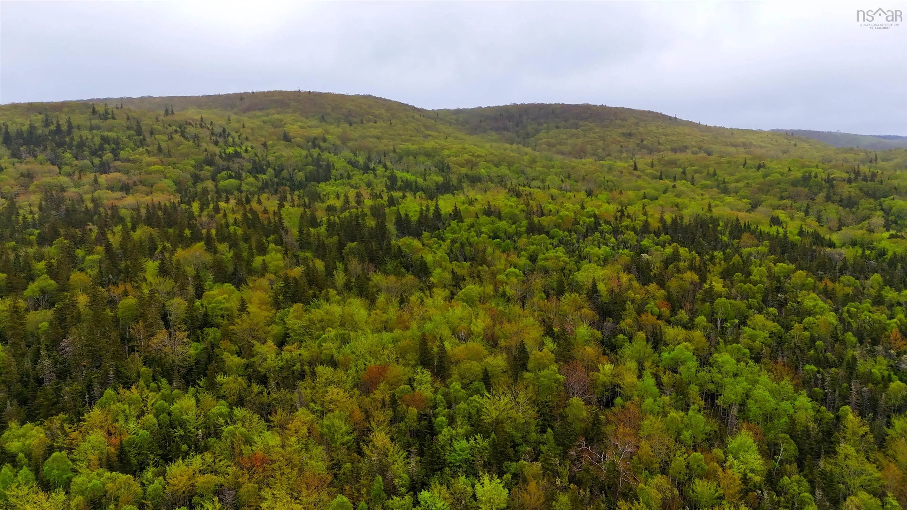 103 Acres On East Lake Ainslie Rd, East Lake Ainslie, NS B0E 3M0, ,Land,For Sale,Acres On East Lake Ainslie Rd,202513007