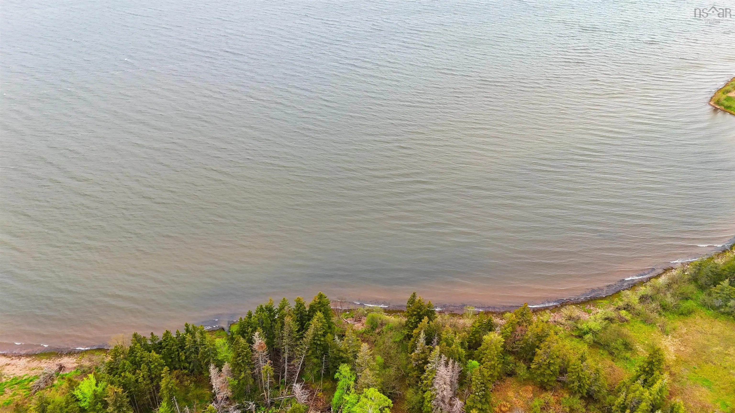 103 Acres On East Lake Ainslie Rd, East Lake Ainslie, NS B0E 3M0, ,Land,For Sale,Acres On East Lake Ainslie Rd,202513007