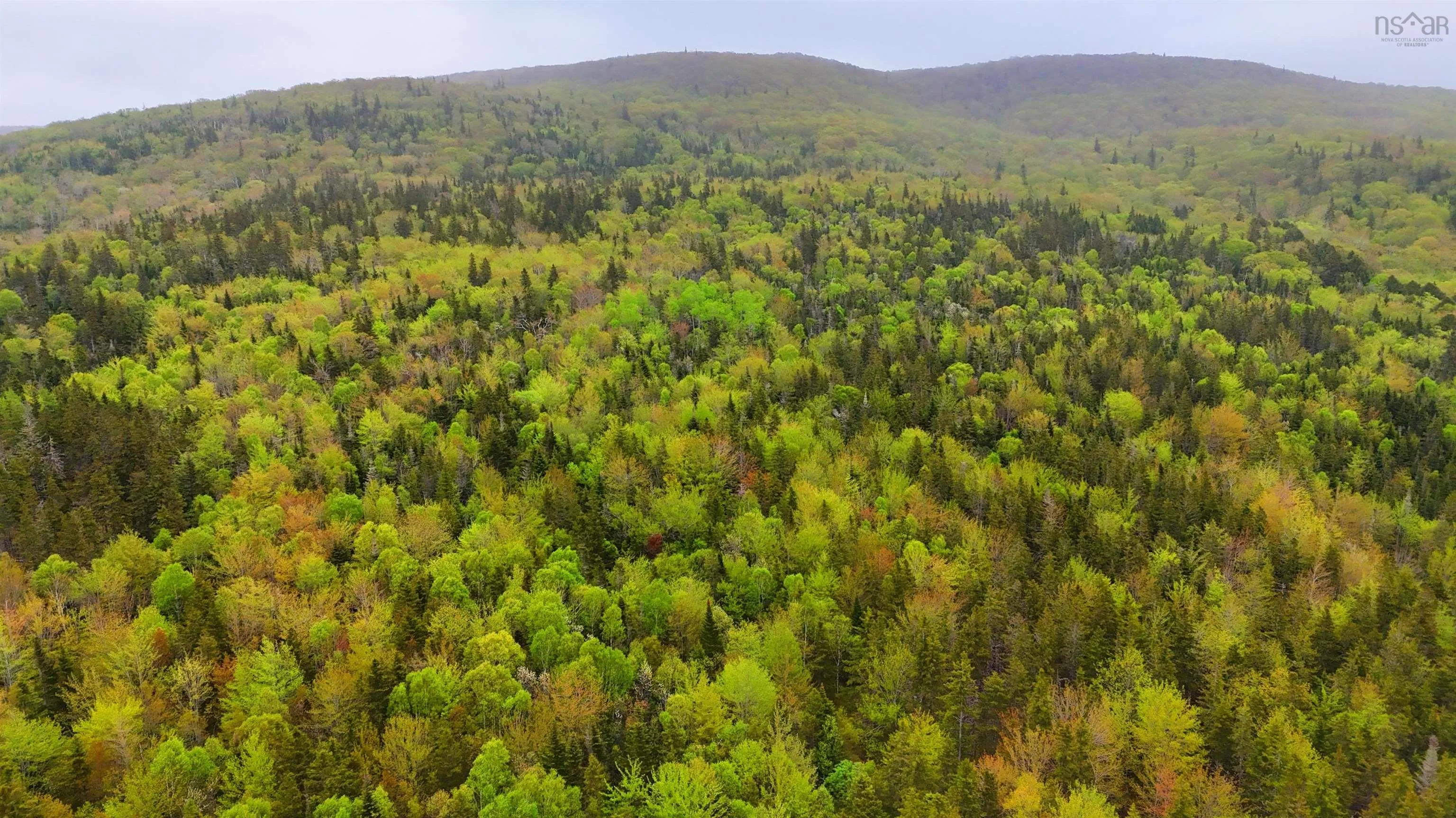 103 Acres On East Lake Ainslie Rd, East Lake Ainslie, NS B0E 3M0, ,Land,For Sale,Acres On East Lake Ainslie Rd,202513007