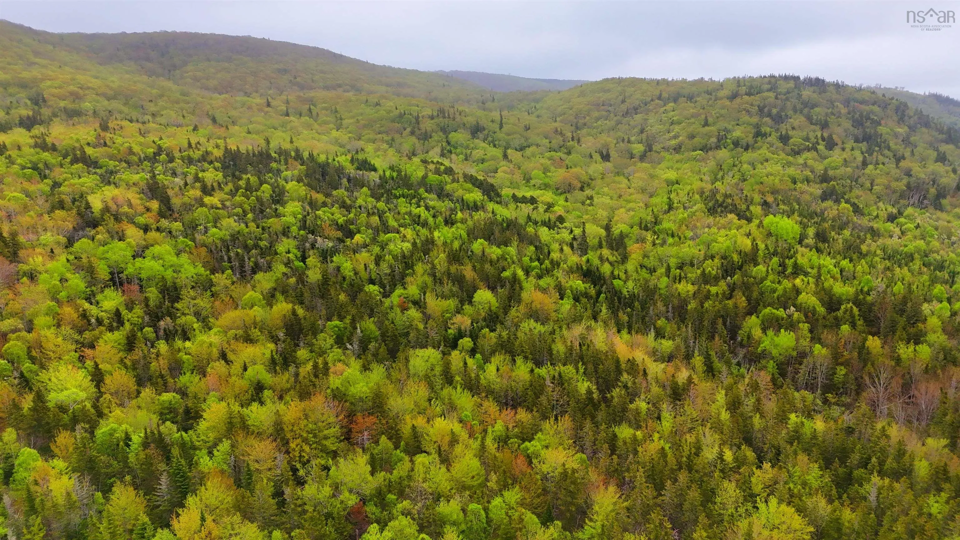 103 Acres On East Lake Ainslie Rd, East Lake Ainslie, NS B0E 3M0, ,Land,For Sale,Acres On East Lake Ainslie Rd,202513007