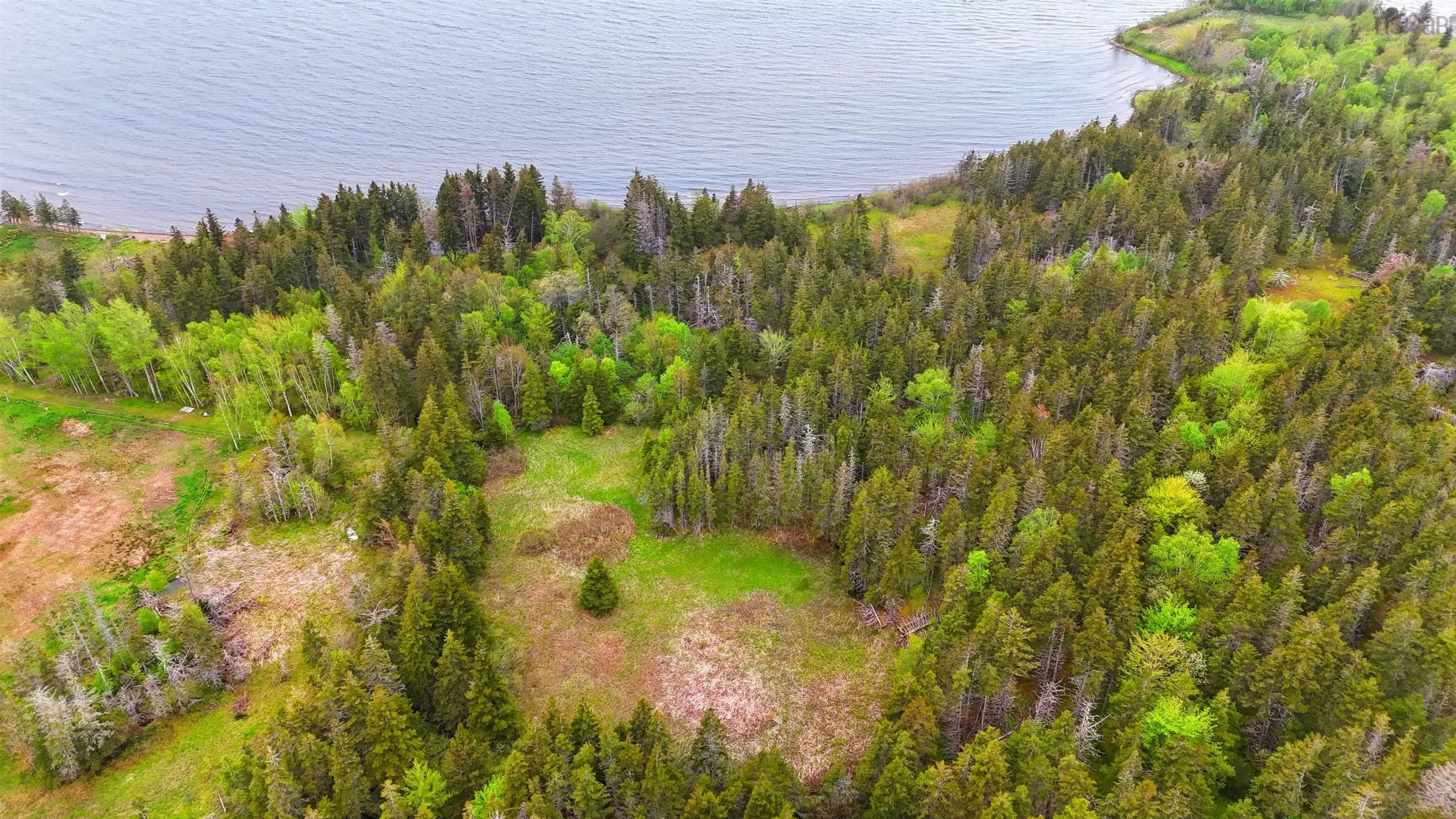 103 Acres On East Lake Ainslie Rd, East Lake Ainslie, NS B0E 3M0, ,Land,For Sale,Acres On East Lake Ainslie Rd,202513007
