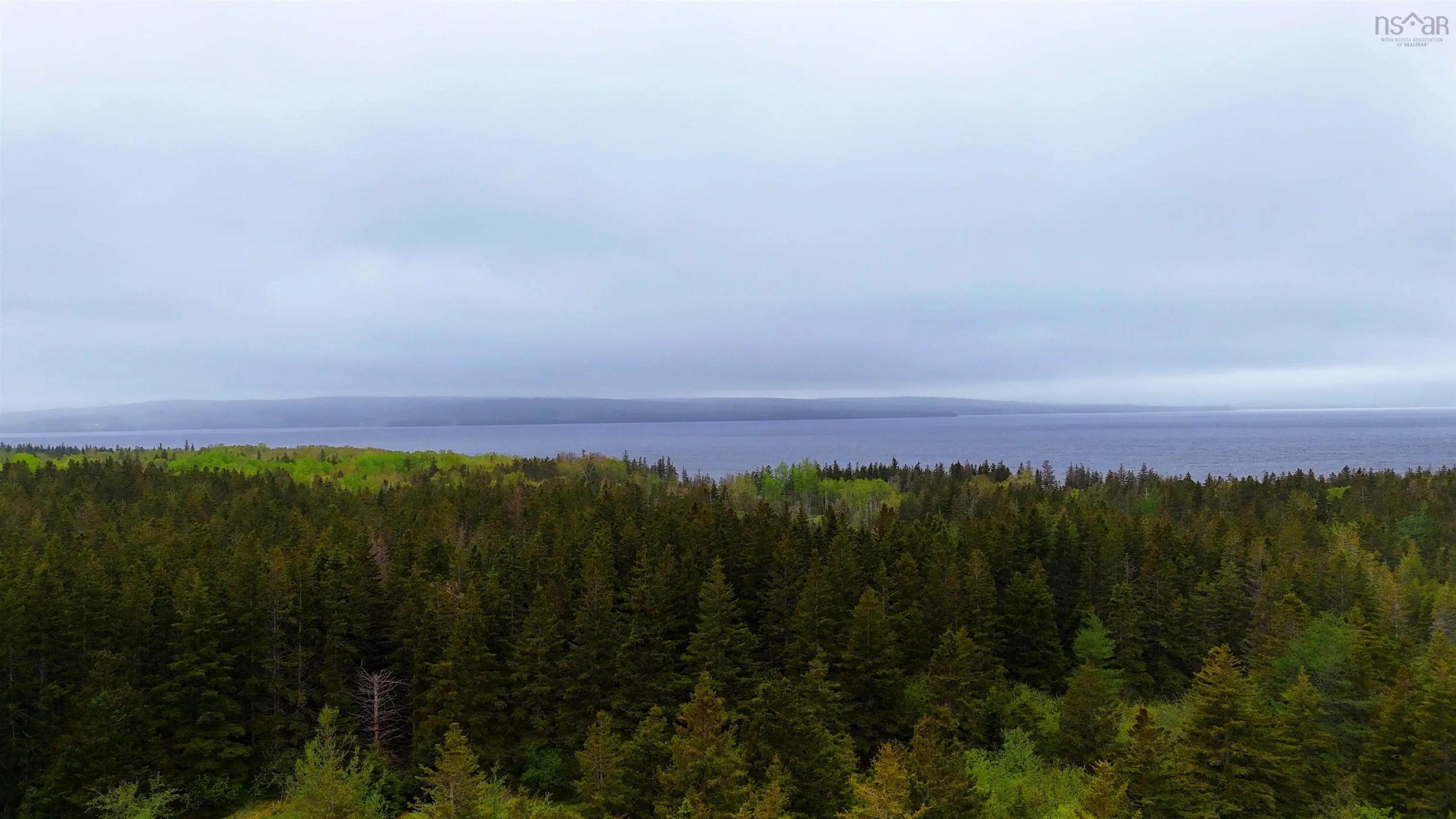 103 Acres On East Lake Ainslie Rd, East Lake Ainslie, NS B0E 3M0, ,Land,For Sale,Acres On East Lake Ainslie Rd,202513007