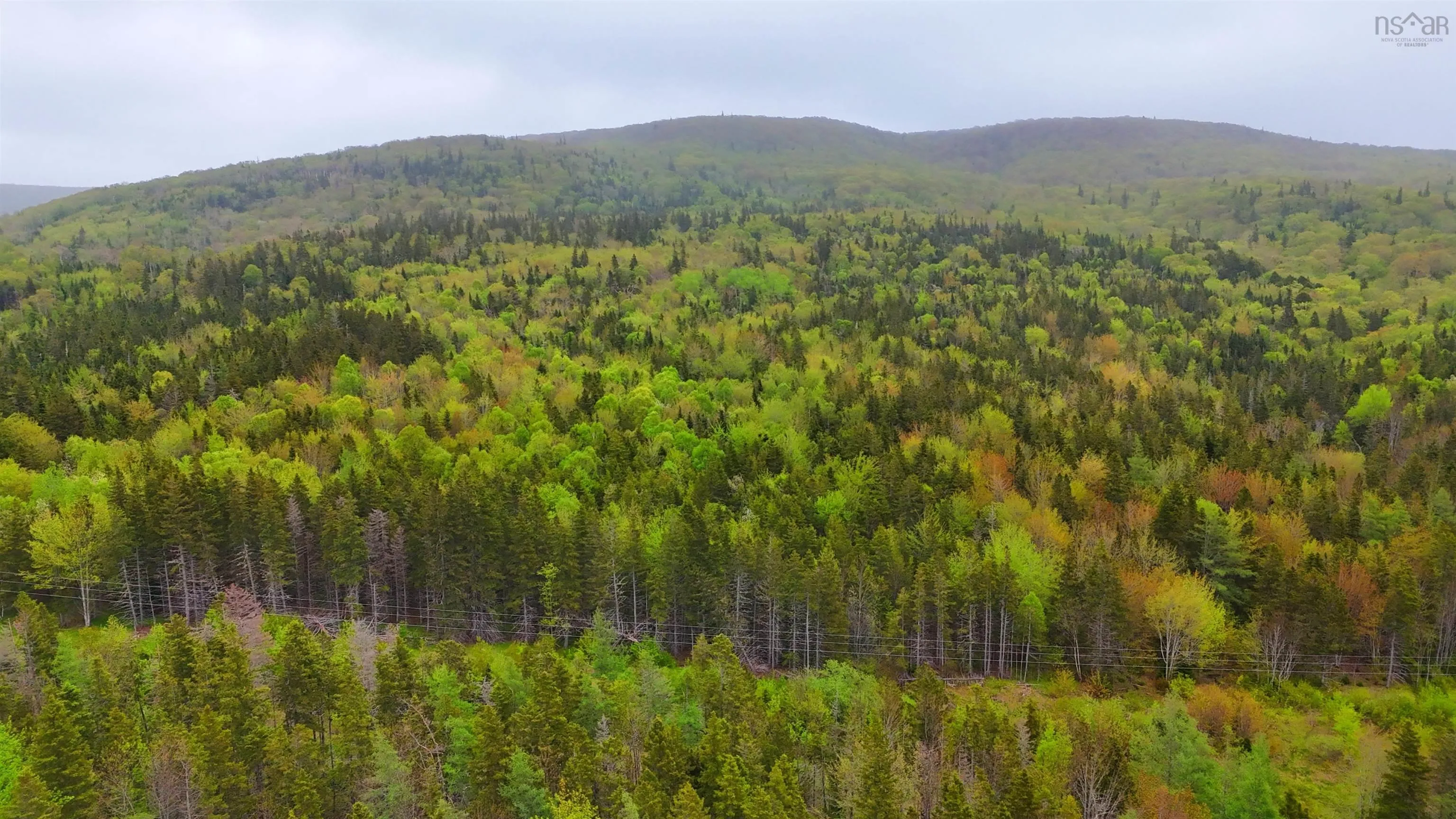 103 Acres On East Lake Ainslie Rd, East Lake Ainslie, NS B0E 3M0, ,Land,For Sale,Acres On East Lake Ainslie Rd,202513007