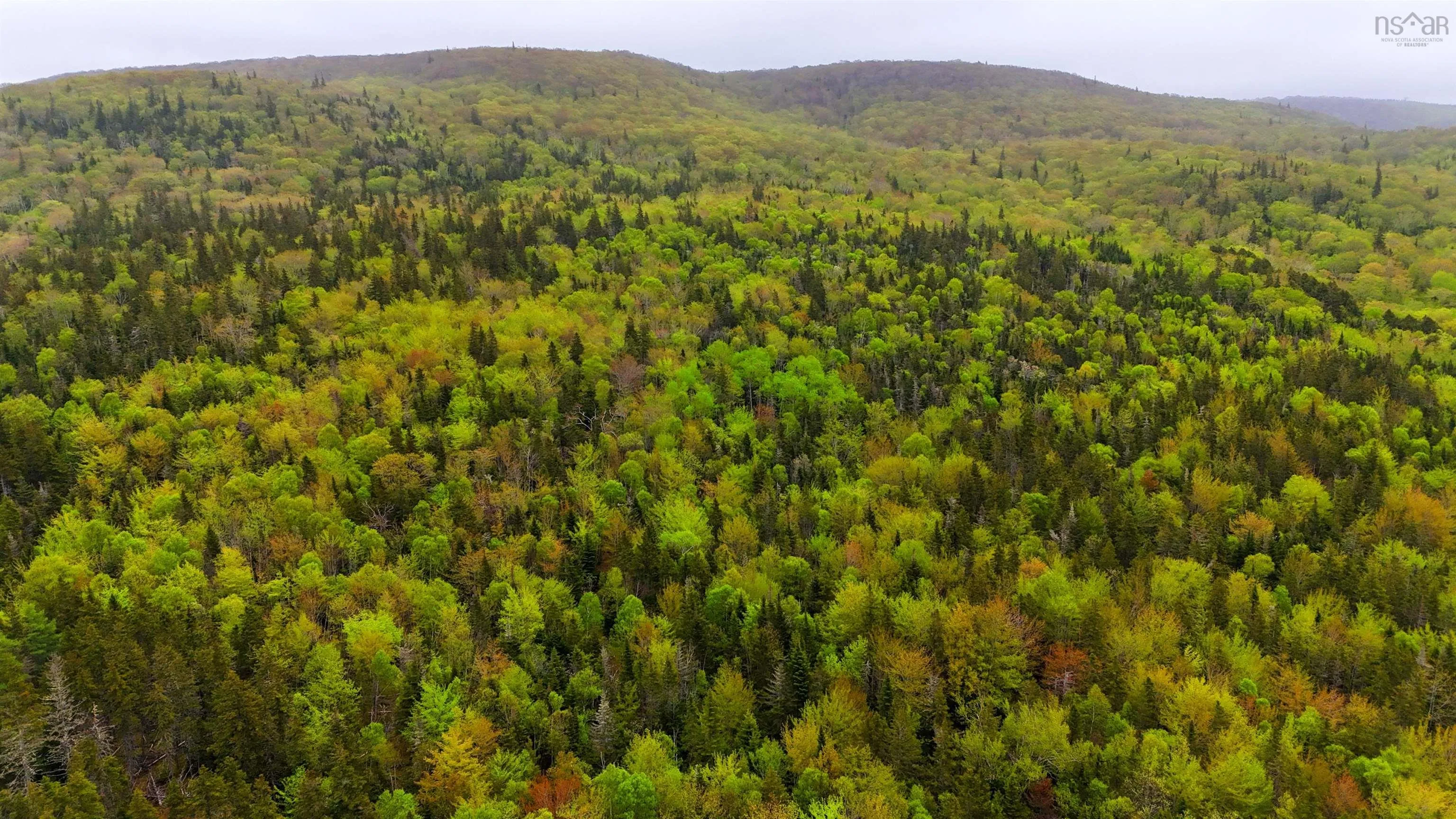 103 Acres On East Lake Ainslie Rd, East Lake Ainslie, NS B0E 3M0, ,Land,For Sale,Acres On East Lake Ainslie Rd,202513007