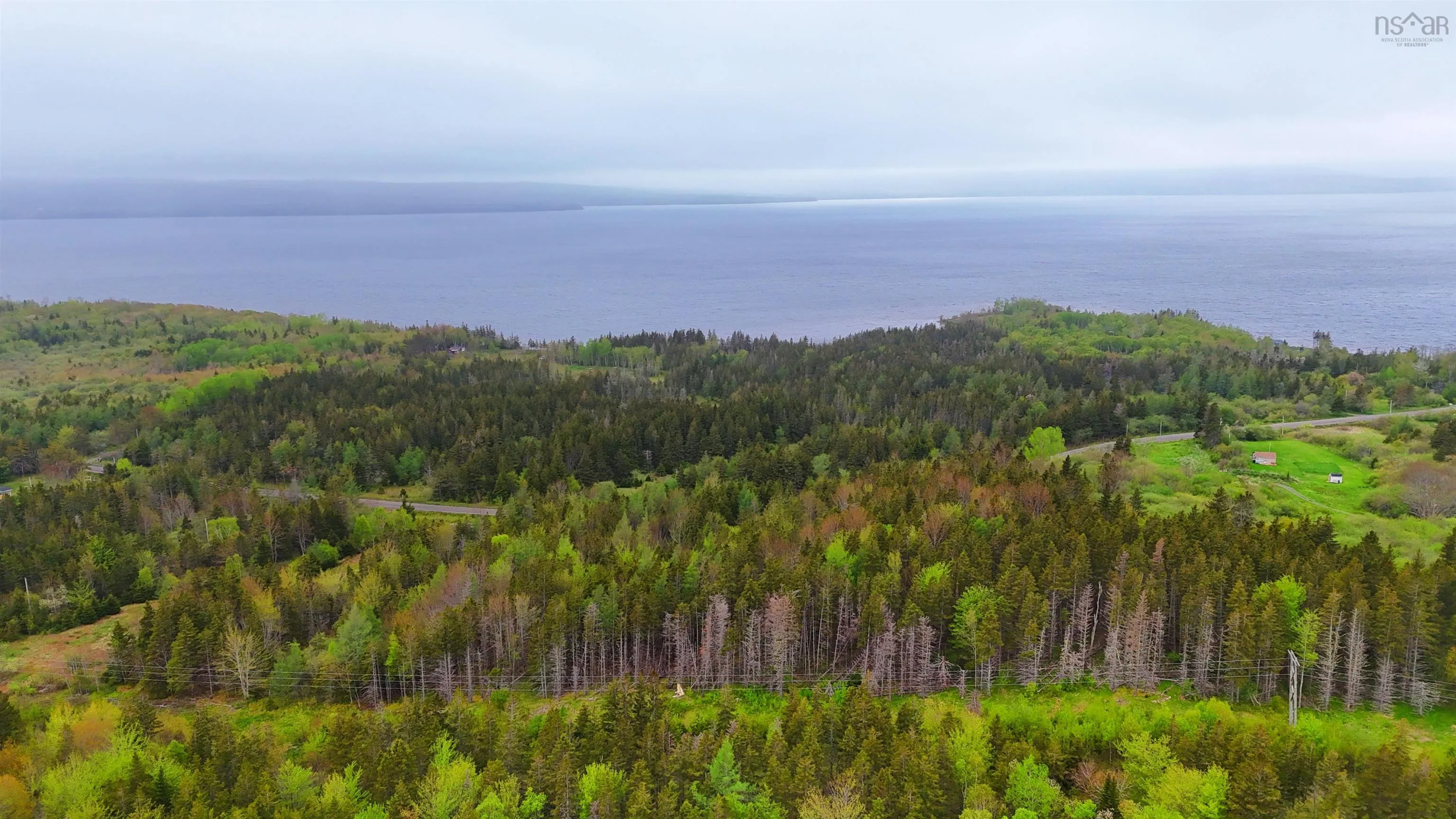 103 Acres On East Lake Ainslie Rd, East Lake Ainslie, NS B0E 3M0, ,Land,For Sale,Acres On East Lake Ainslie Rd,202513007