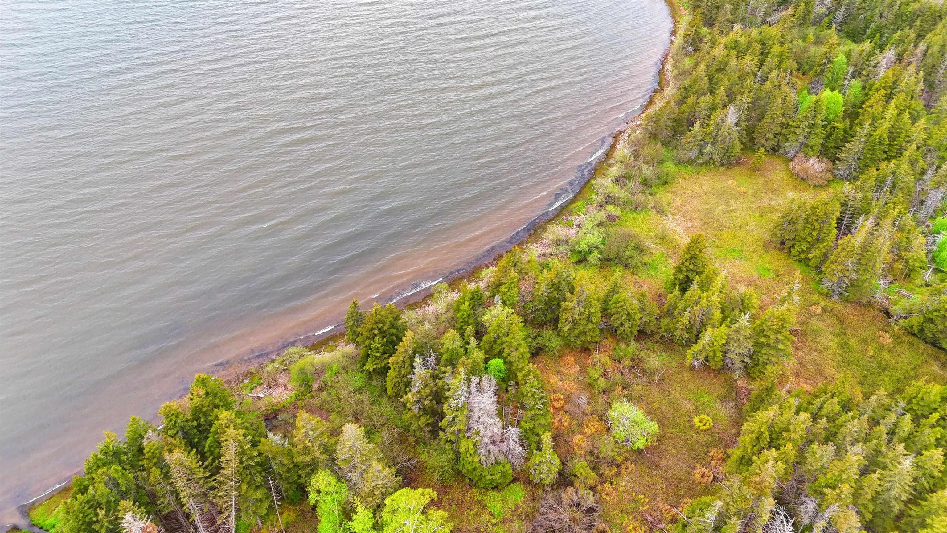 103 Acres On East Lake Ainslie Rd, East Lake Ainslie, NS B0E 3M0, ,Land,For Sale,Acres On East Lake Ainslie Rd,202513007