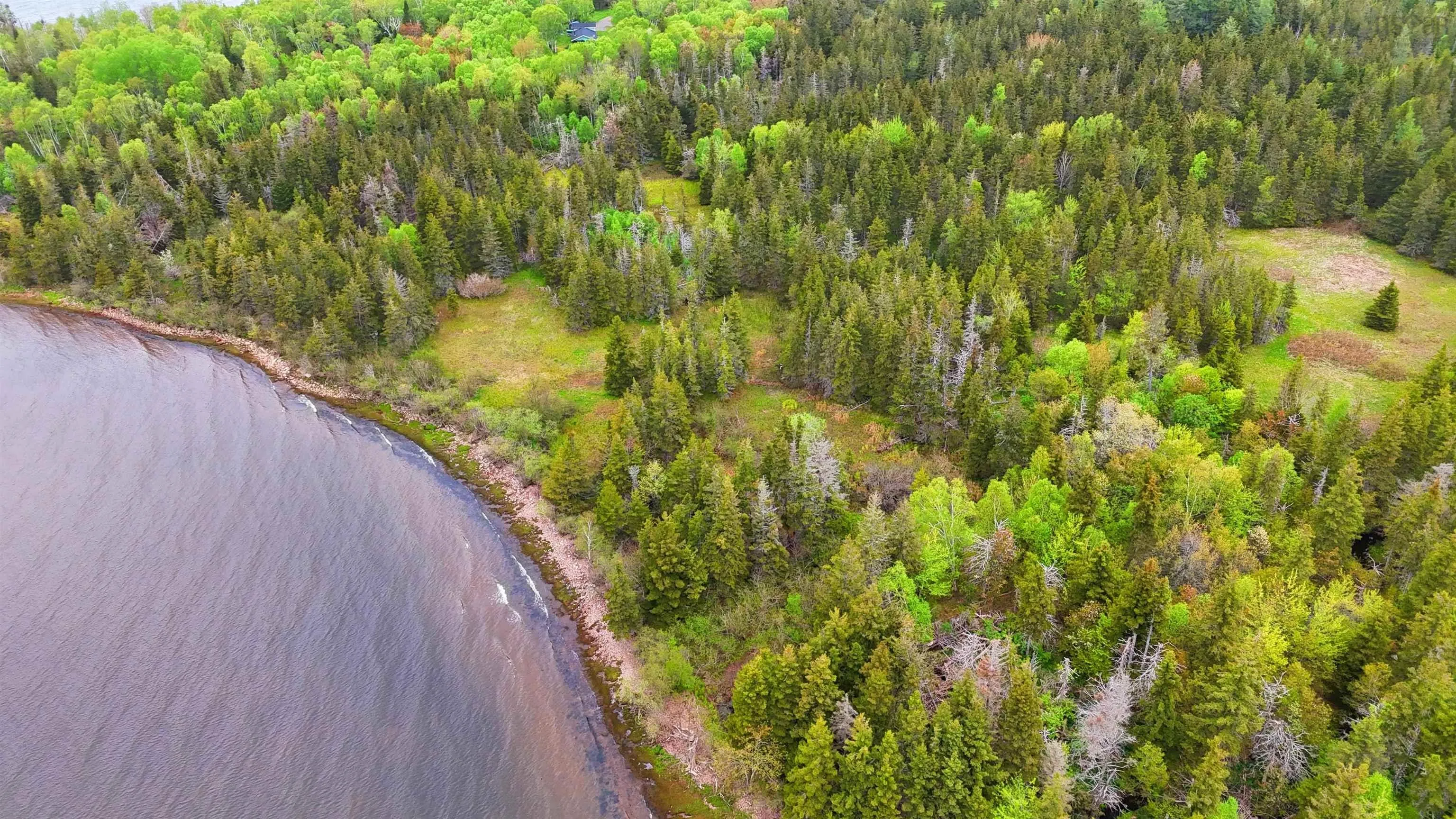 103 Acres On East Lake Ainslie Rd, East Lake Ainslie, NS B0E 3M0, ,Land,For Sale,Acres On East Lake Ainslie Rd,202513007