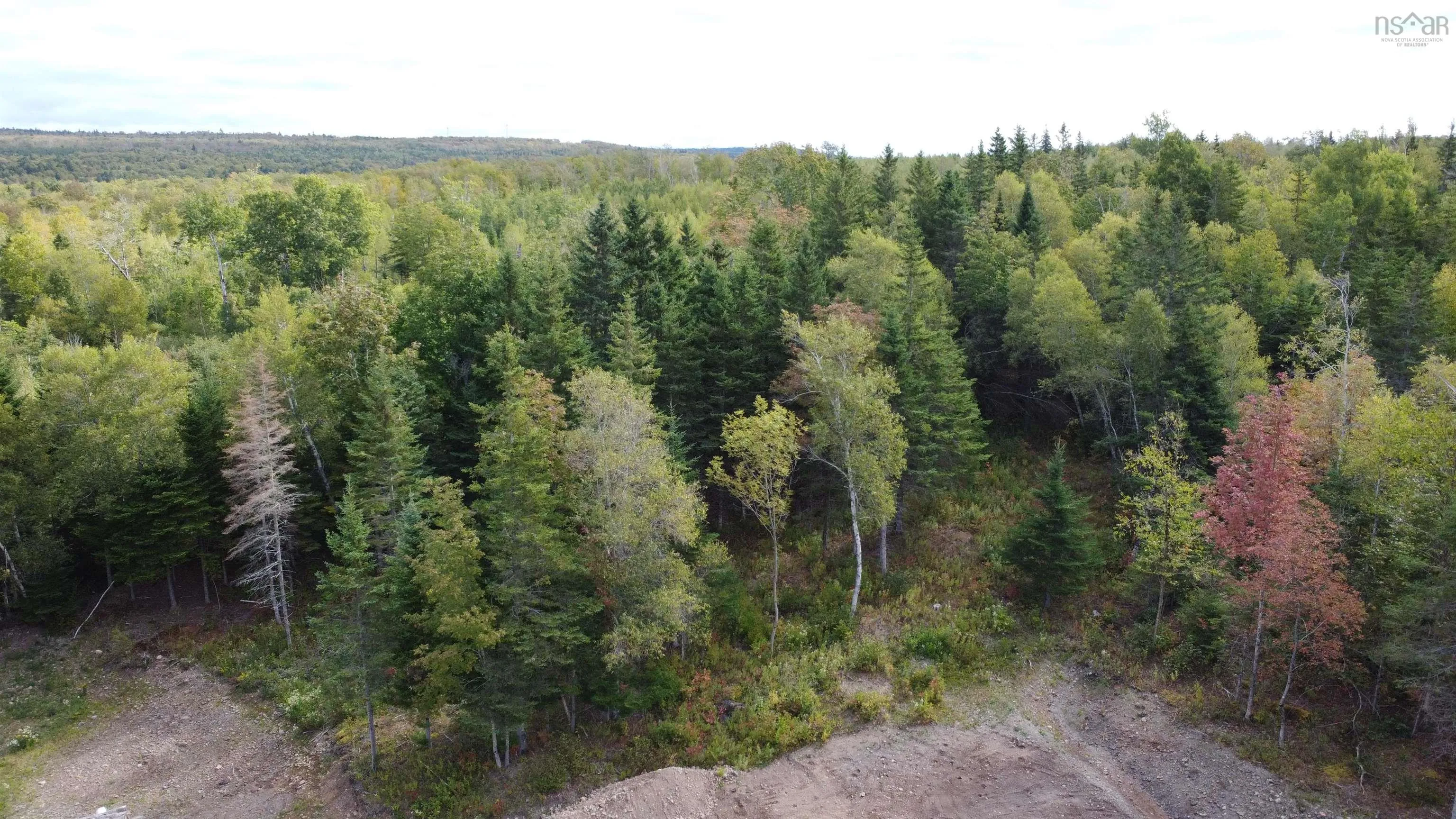 Lot A2 Old Nuttby Road, Kavanaugh Mills, NS B0K 1V0, ,Land,For Sale,Old Nuttby,202523263