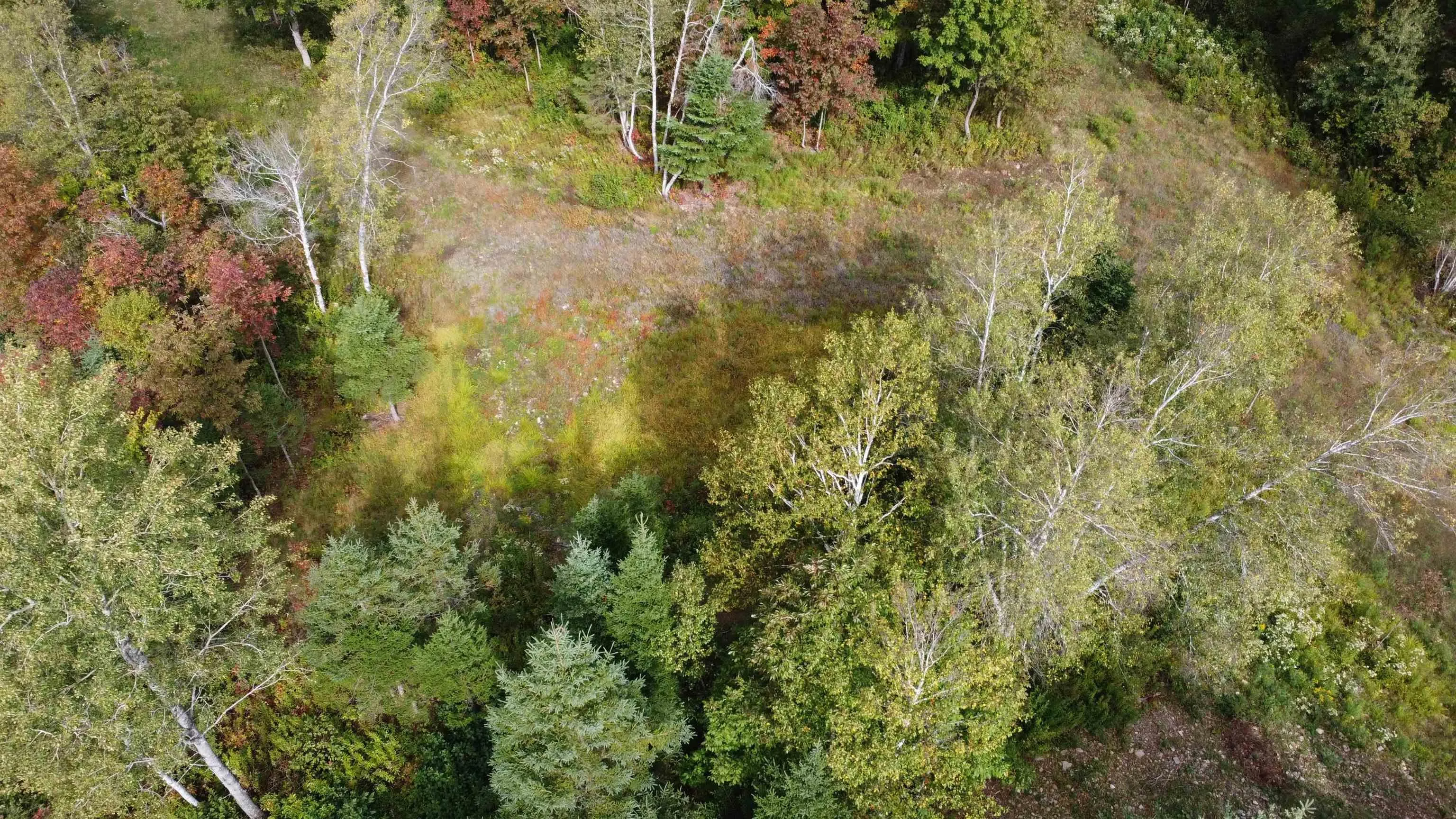 Lot A2 Old Nuttby Road, Kavanaugh Mills, NS B0K 1V0, ,Land,For Sale,Old Nuttby,202523263