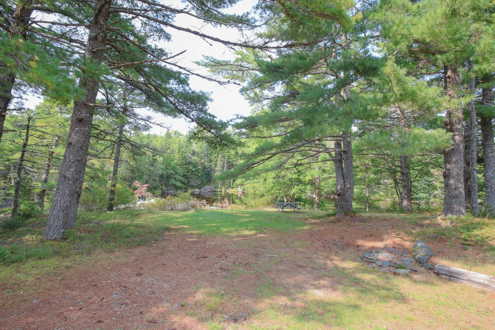 1591 Newburne Road, Newburne, NS B0R 1A0, 4 Bedrooms Bedrooms, ,4 BathroomsBathrooms,Residential,For Sale,Newburne,202513241