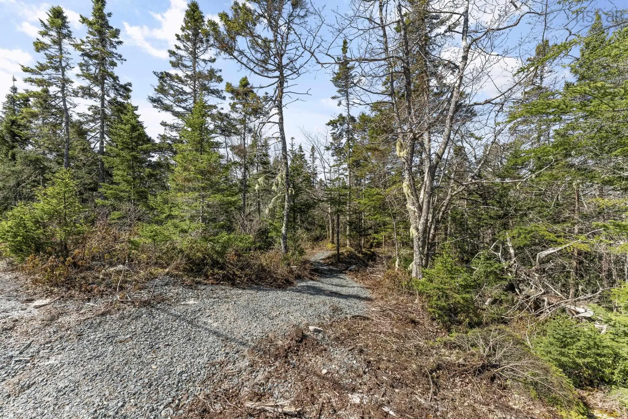 667 Shad Point Parkway, Blind Bay Ns B3z 4c1, 3 Bedrooms Bedrooms, ,2 BathroomsBathrooms,Residential,For Sale,Shad Point,202408224