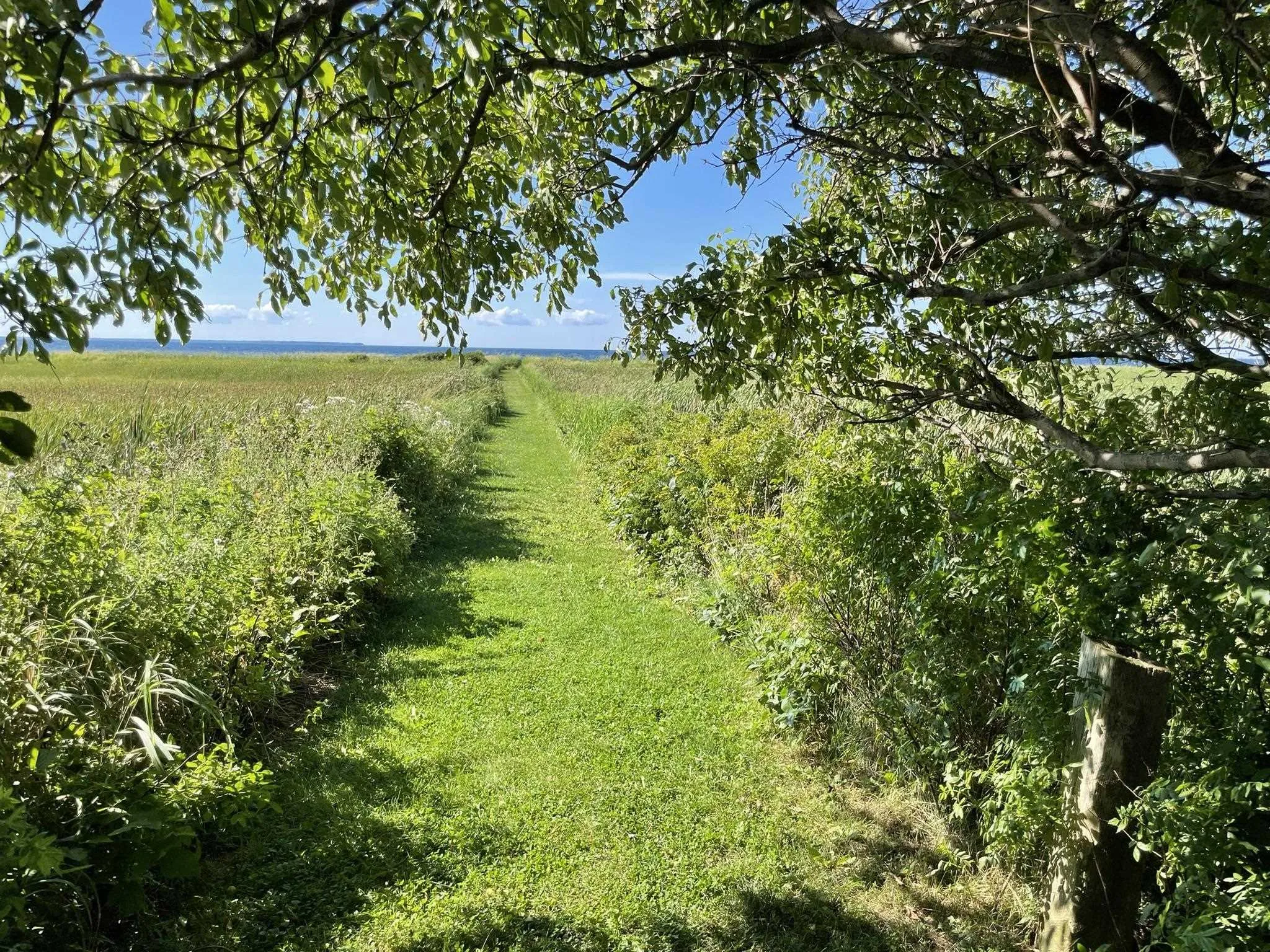 Lot 10 Sunset Drive, Malagash Ns B0k 1e0, ,Land,For Sale,Sunset,202508515