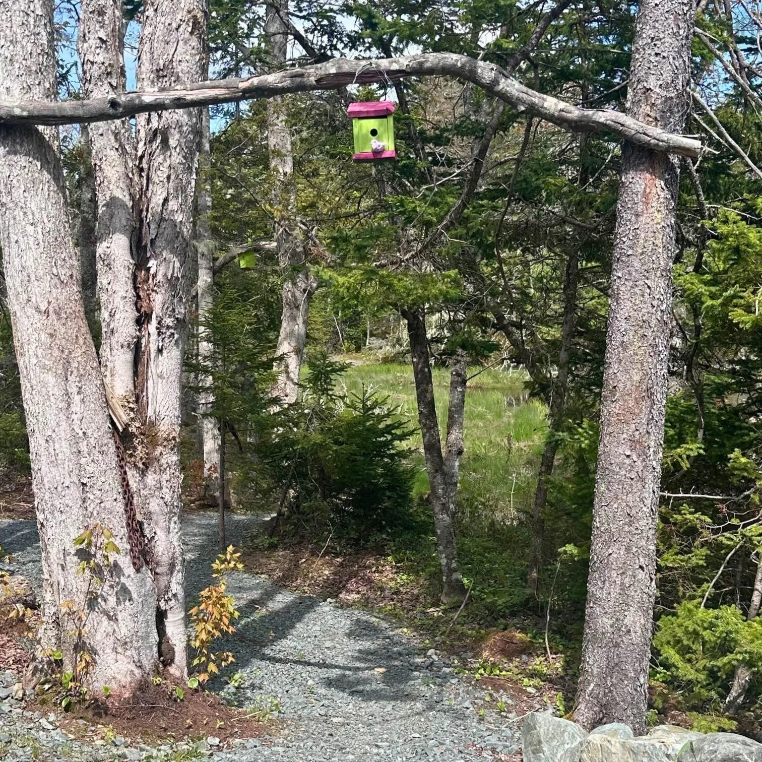 8630 Highway 331, Voglers Cove, NS B0J 2H0, 1 Bedroom Bedrooms, ,1 BathroomBathrooms,Residential,For Sale,Highway 331,202522551