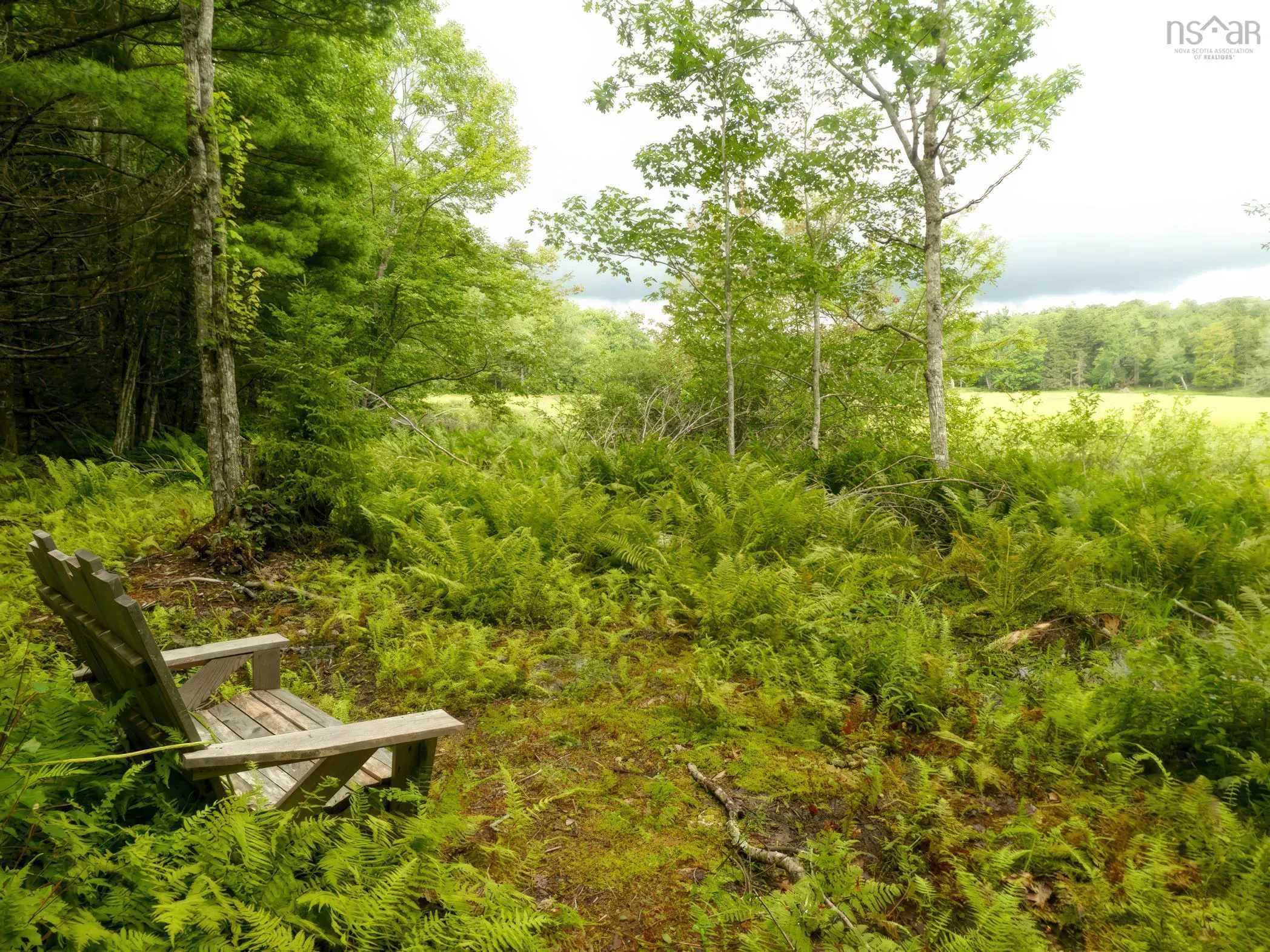 1542 Canaan Road Road, Canaan Ns B0w 3m0, 1 Bedroom Bedrooms, ,1 BathroomBathrooms,Residential,For Sale,Canaan Road,202509988