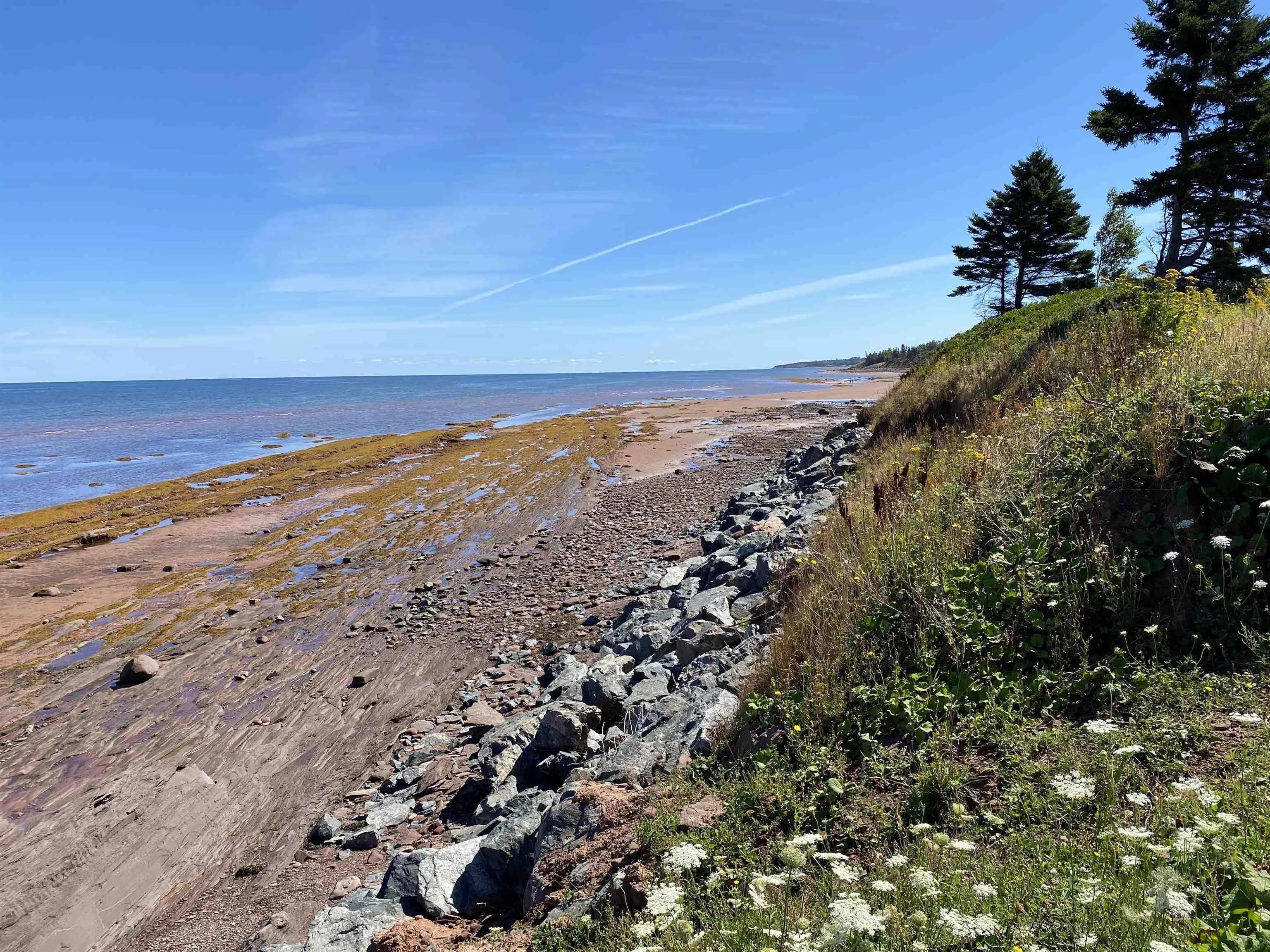 77 Dan R Drive, Pugwash, NS B0K 1L0, 4 Bedrooms Bedrooms, ,1 BathroomBathrooms,Residential,For Sale,Dan R Drive,202520391