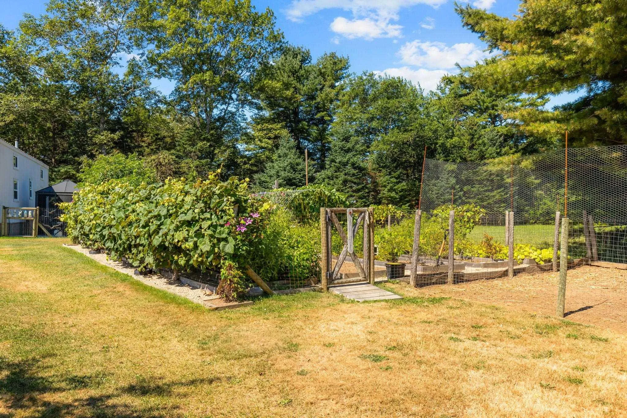 4303 3 Highway, Chester, NS B0J 1J0, 6 Bedrooms Bedrooms, ,3 BathroomsBathrooms,Residential,For Sale,3,202521654