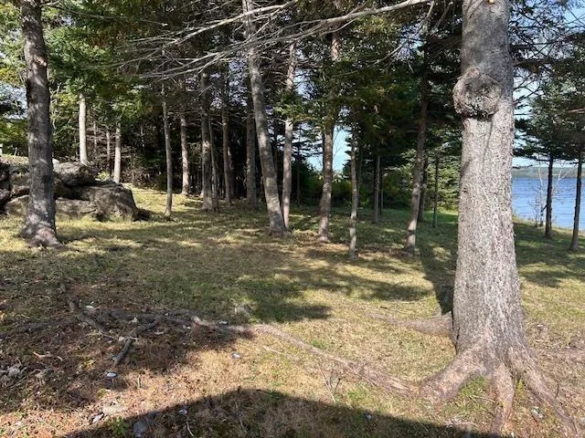 10485 Grenville Street, St. Peters, NS B0E 3B0, 2 Bedrooms Bedrooms, ,1 BathroomBathrooms,Residential,For Sale,Grenville,202525602